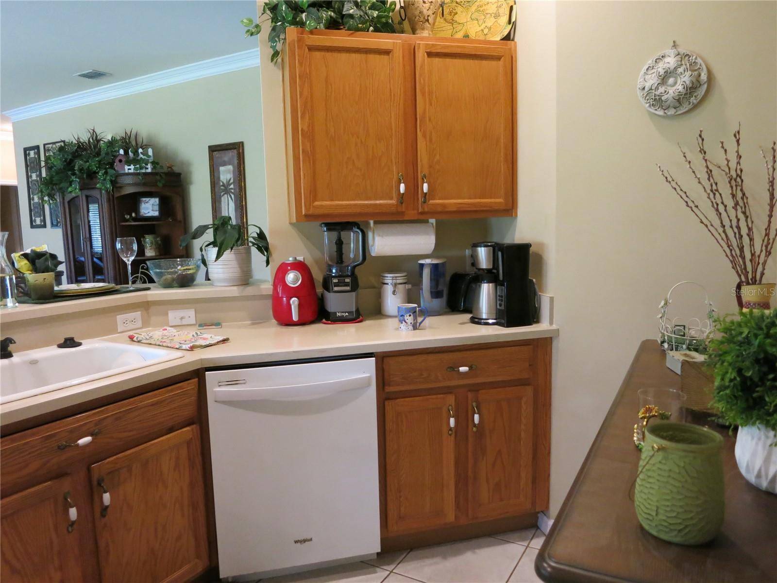 1799 W SHANELLE PATH, LECANTO, FL, 34461