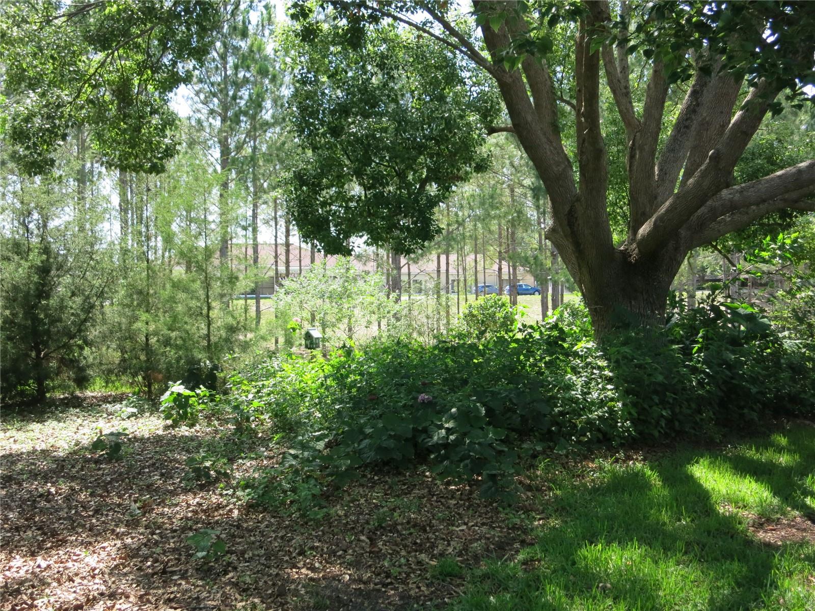 1799 W SHANELLE PATH, LECANTO, FL, 34461