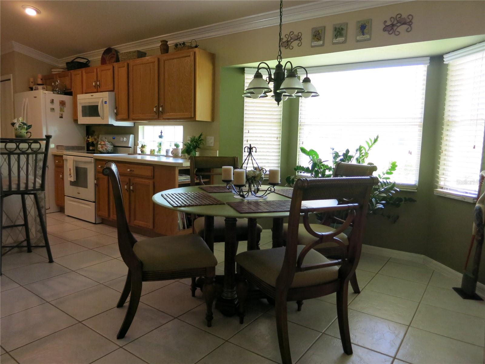 1799 W SHANELLE PATH, LECANTO, FL, 34461