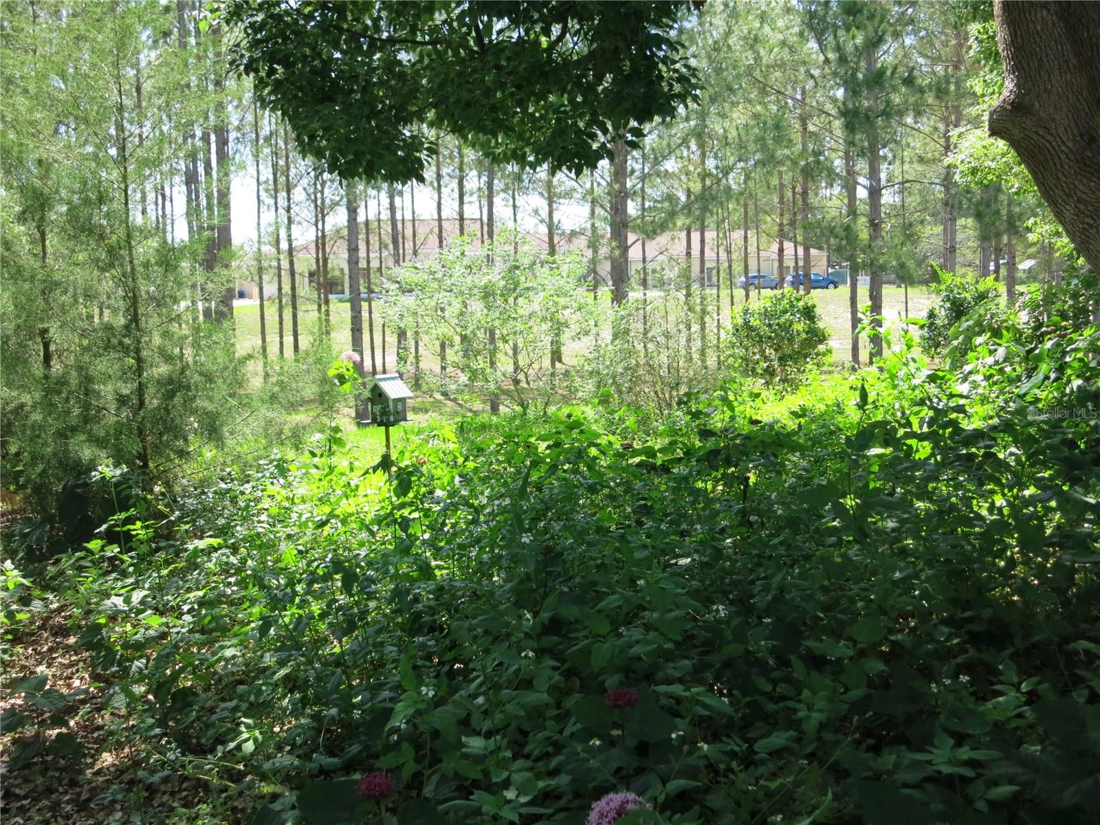 1799 W SHANELLE PATH, LECANTO, FL, 34461