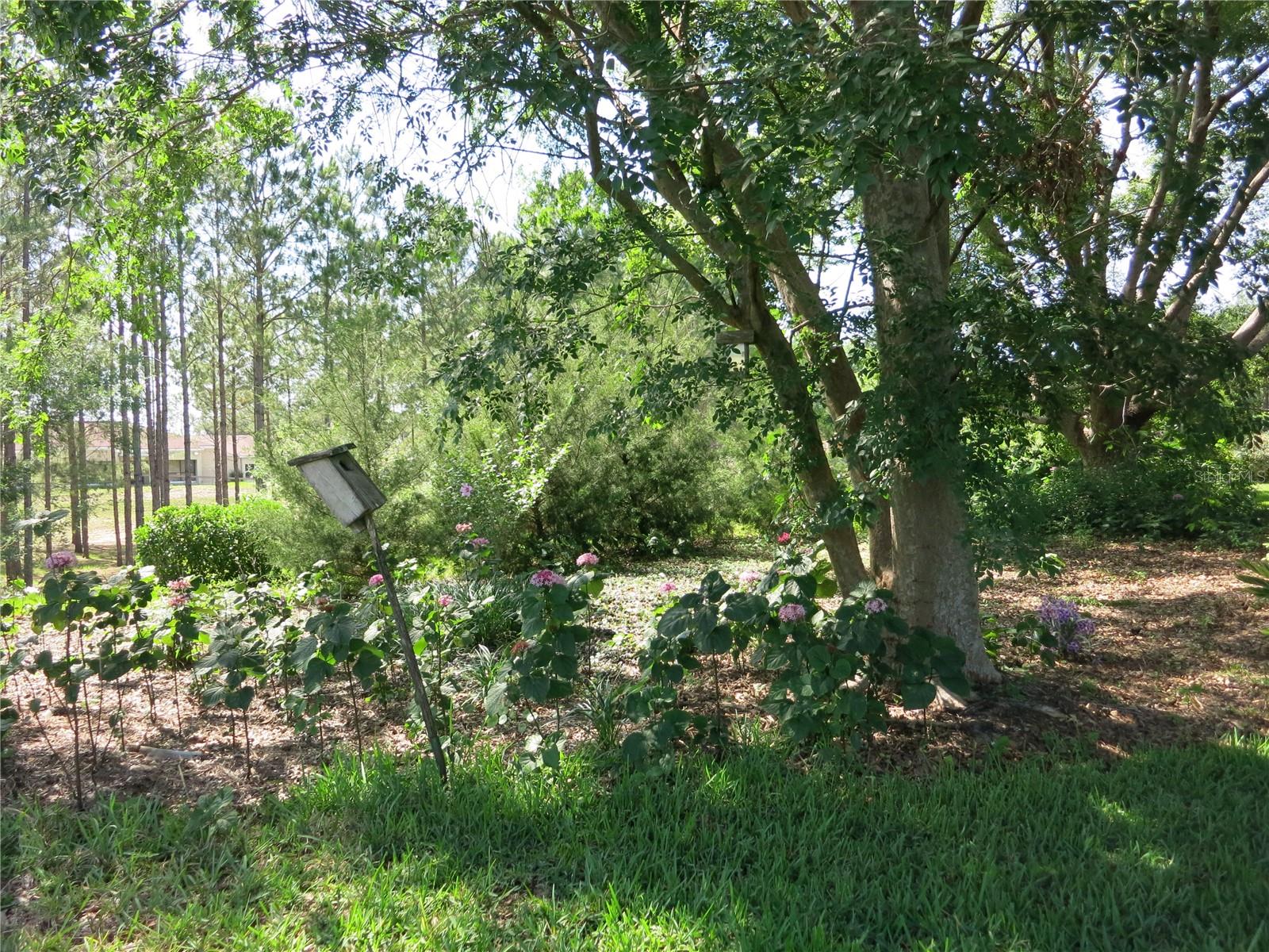 1799 W SHANELLE PATH, LECANTO, FL, 34461