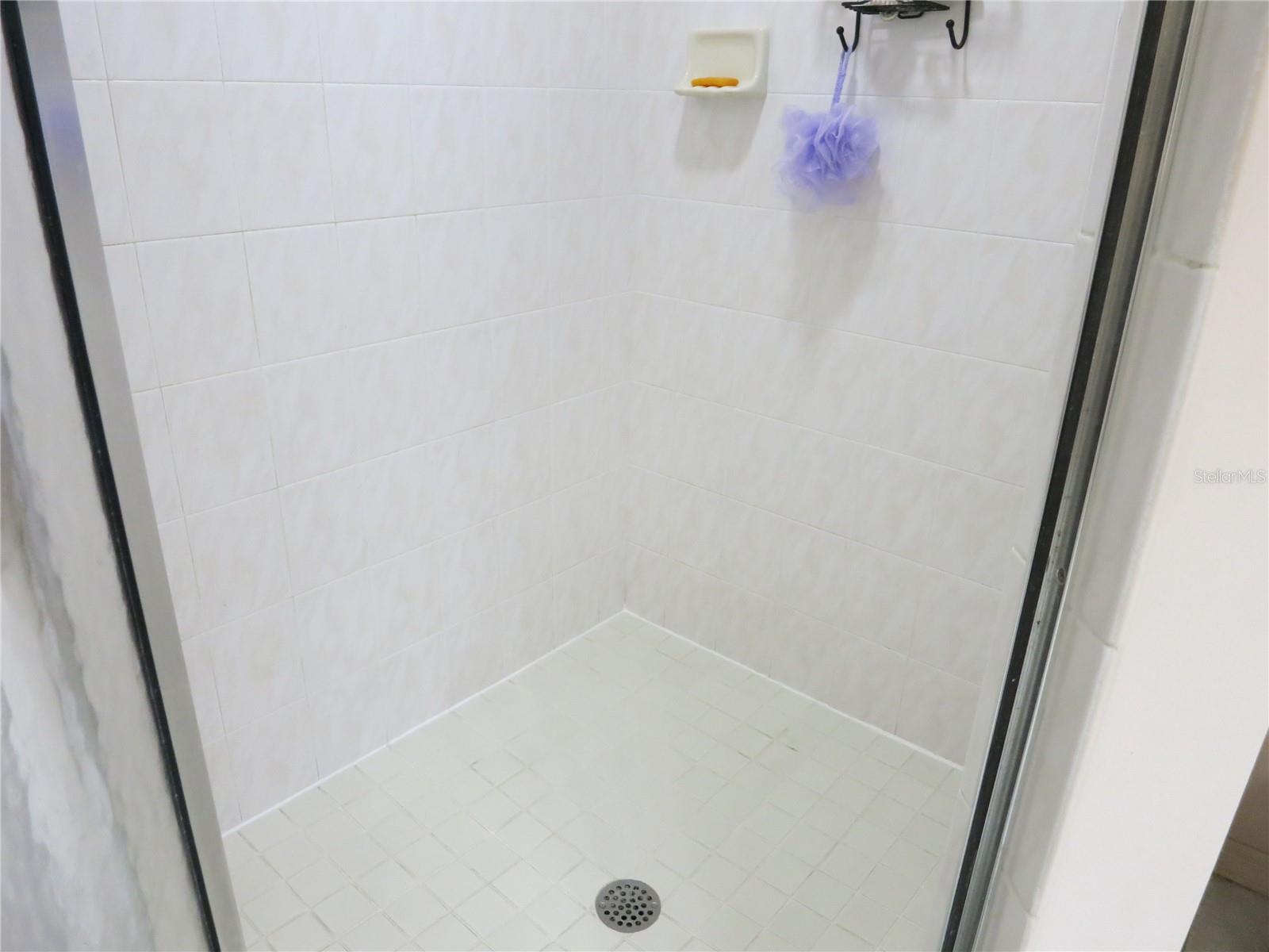 1799 W SHANELLE PATH, LECANTO, FL, 34461