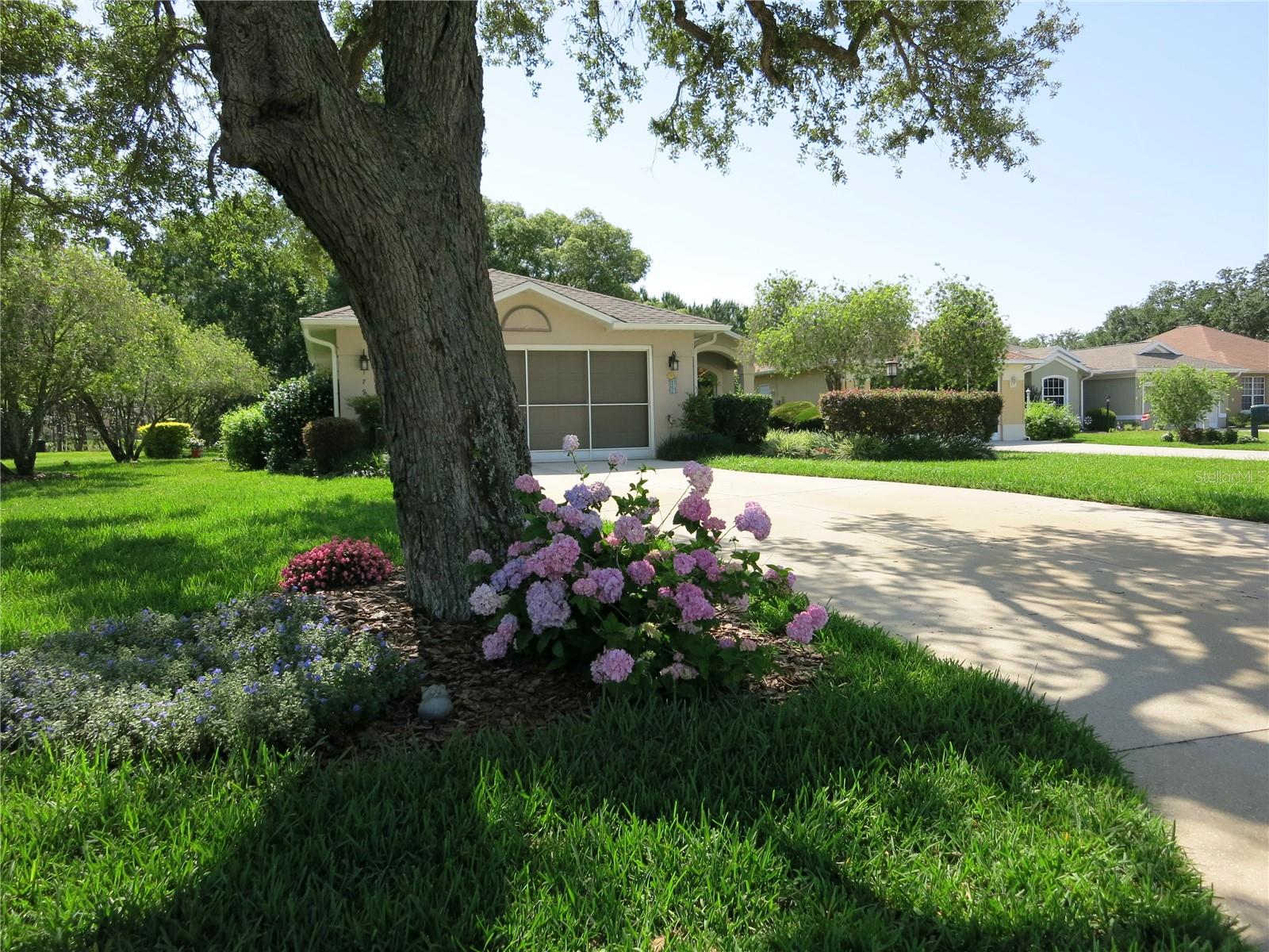 1799 W SHANELLE PATH, LECANTO, FL, 34461