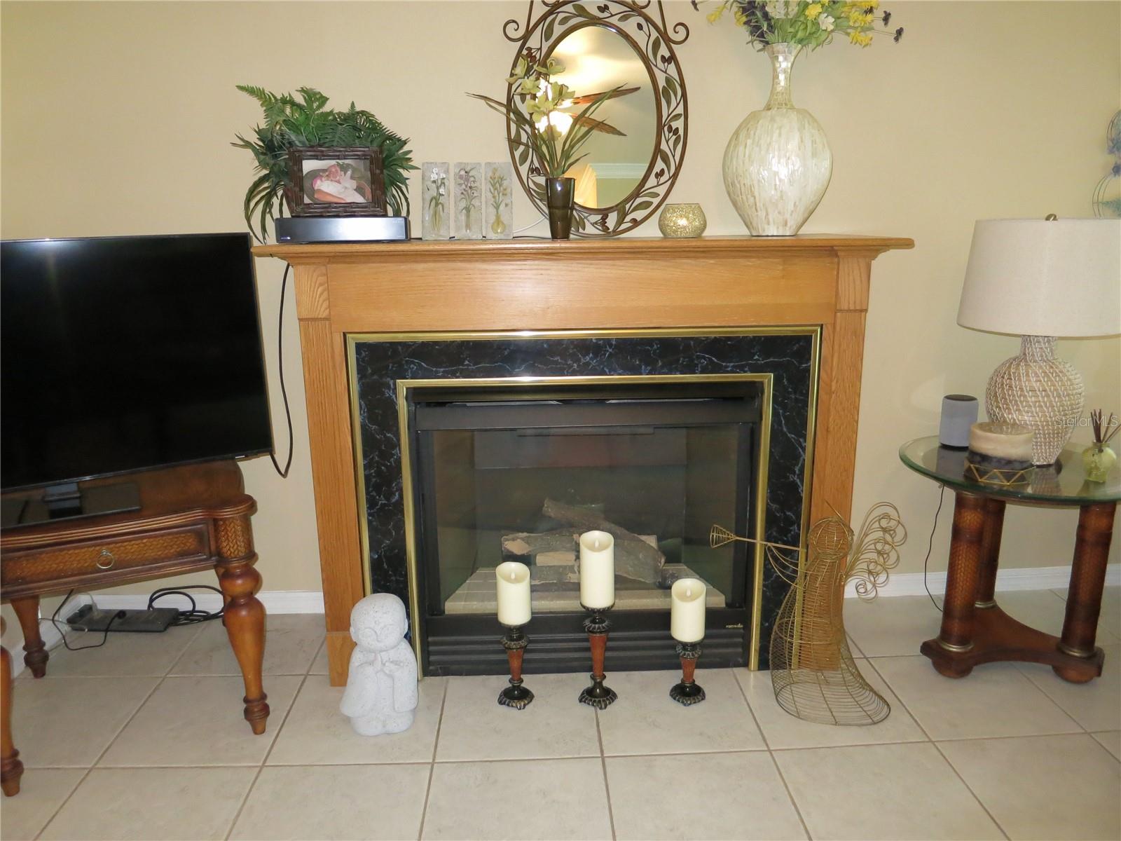 1799 W SHANELLE PATH, LECANTO, FL, 34461