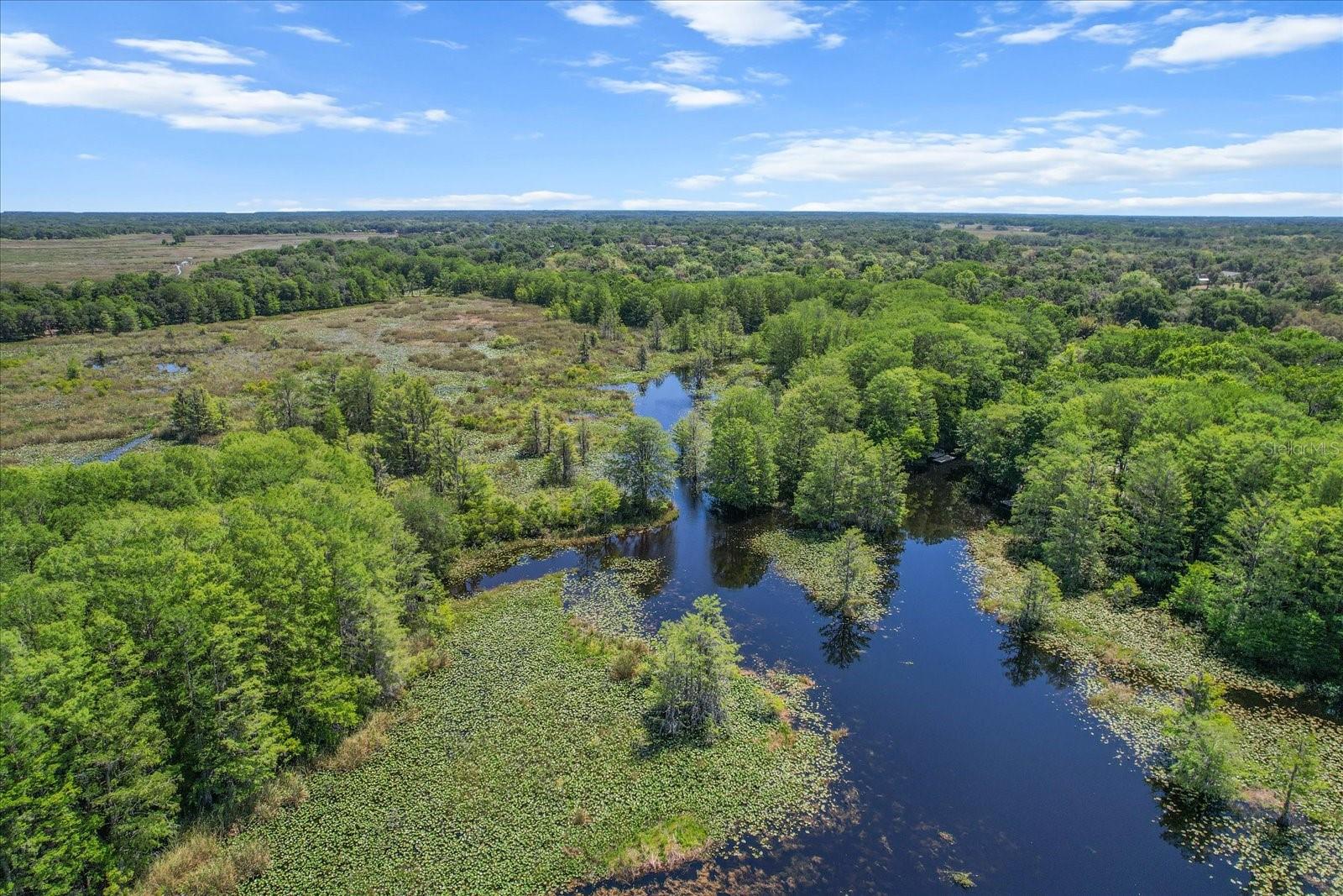 1255 S ESTATE PT, INVERNESS, FL, 34450