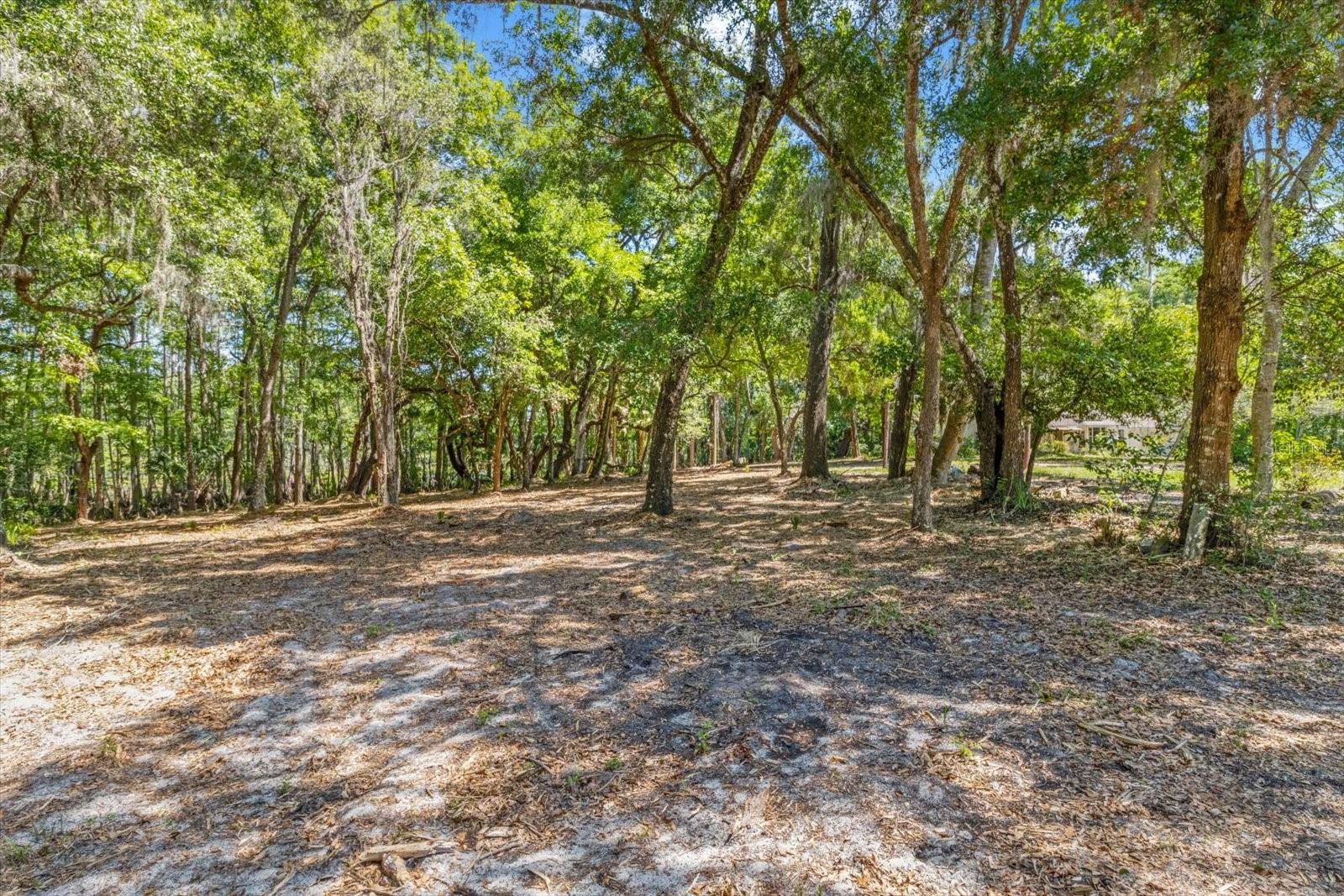 1255 S ESTATE PT, INVERNESS, FL, 34450