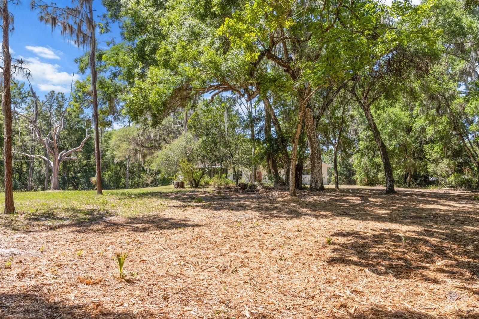 1255 S ESTATE PT, INVERNESS, FL, 34450