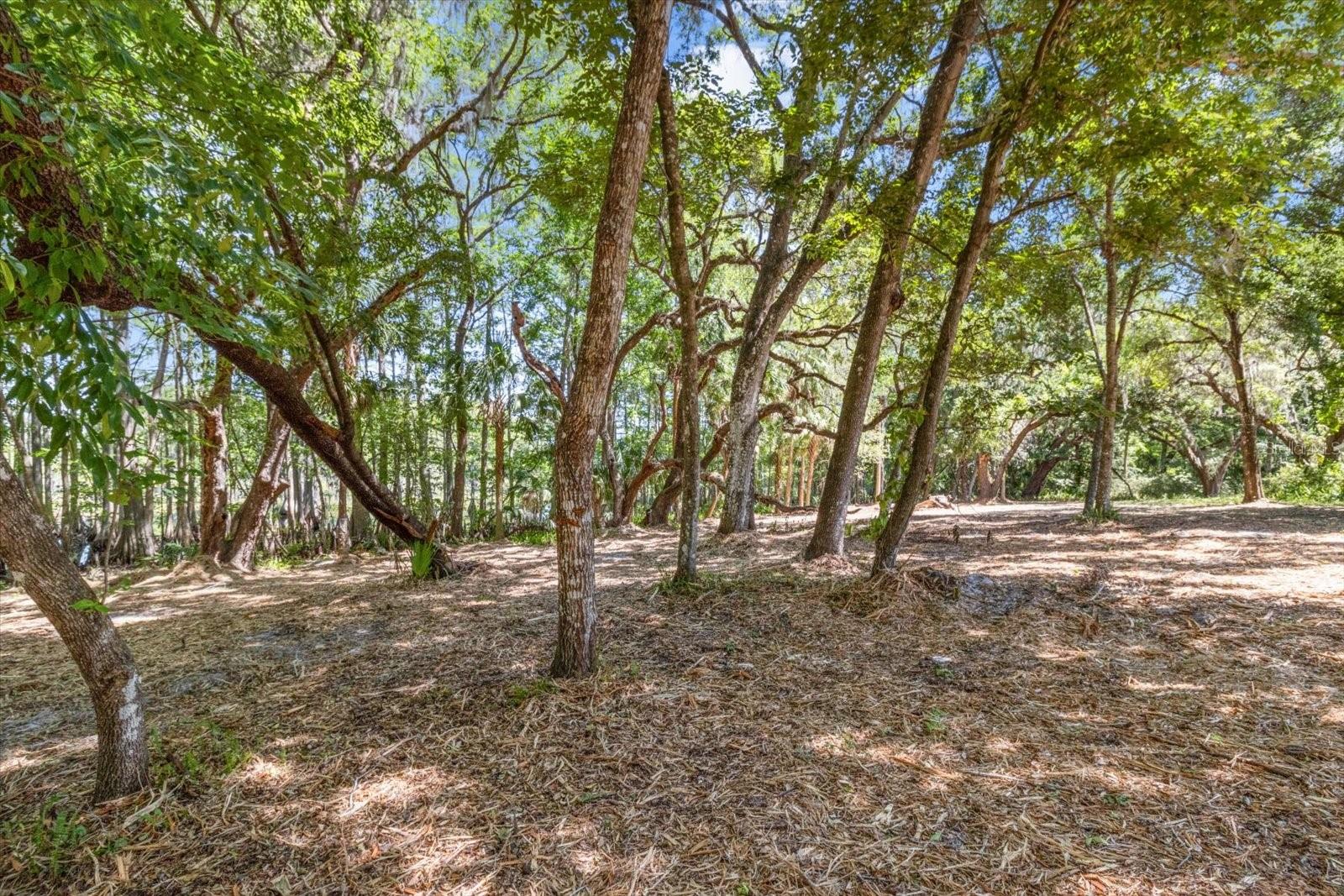 1255 S ESTATE PT, INVERNESS, FL, 34450