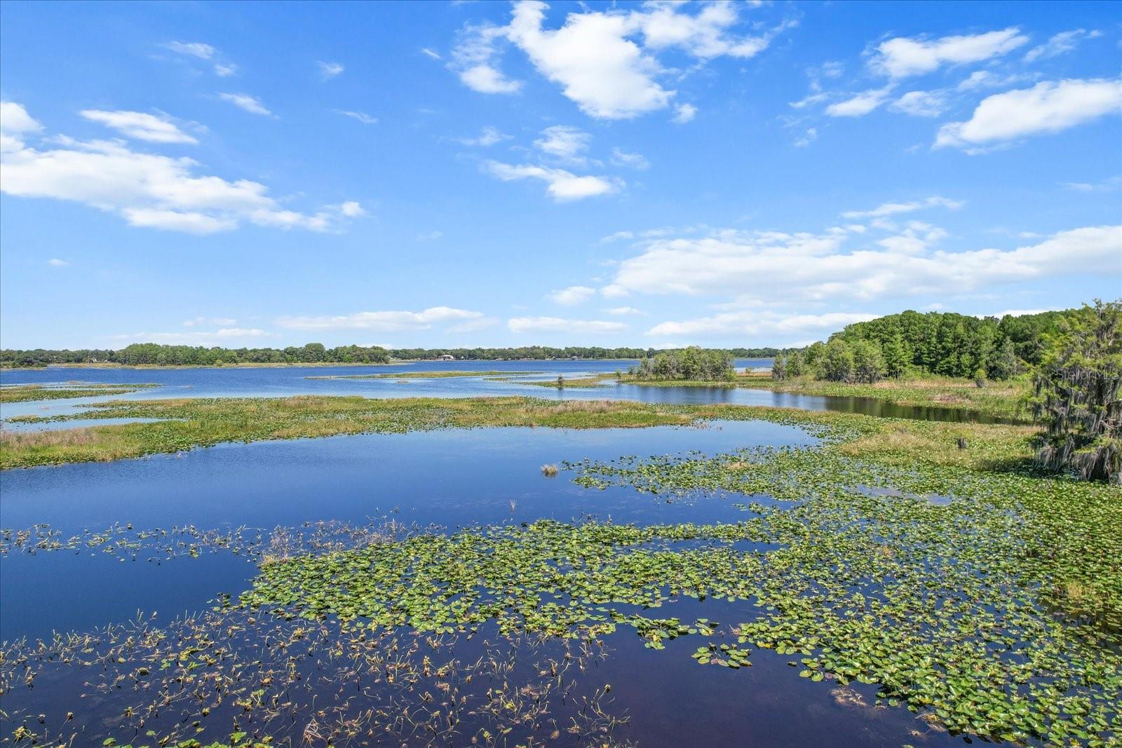 1255 S ESTATE PT, INVERNESS, FL, 34450