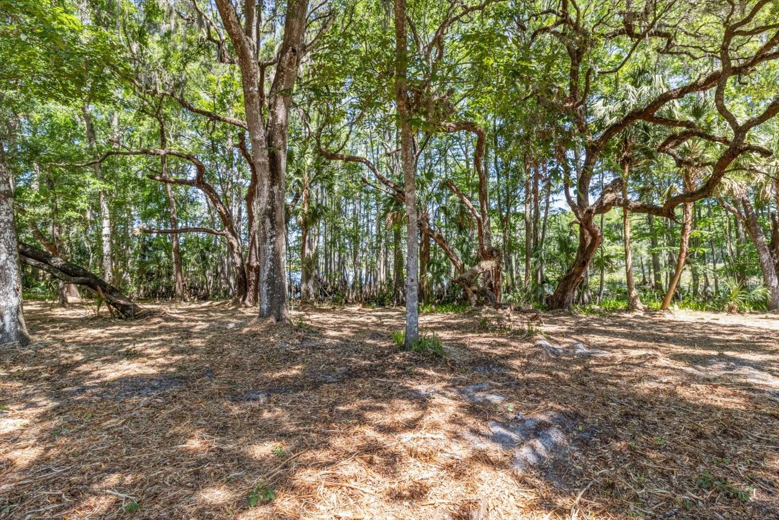 1255 S ESTATE PT, INVERNESS, FL, 34450