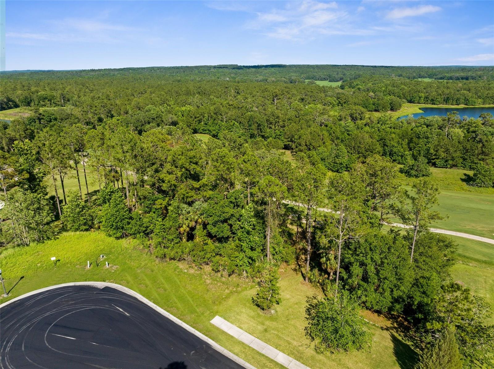 20118 ENGLISH WALNUT PL, BROOKSVILLE, FL, 34601