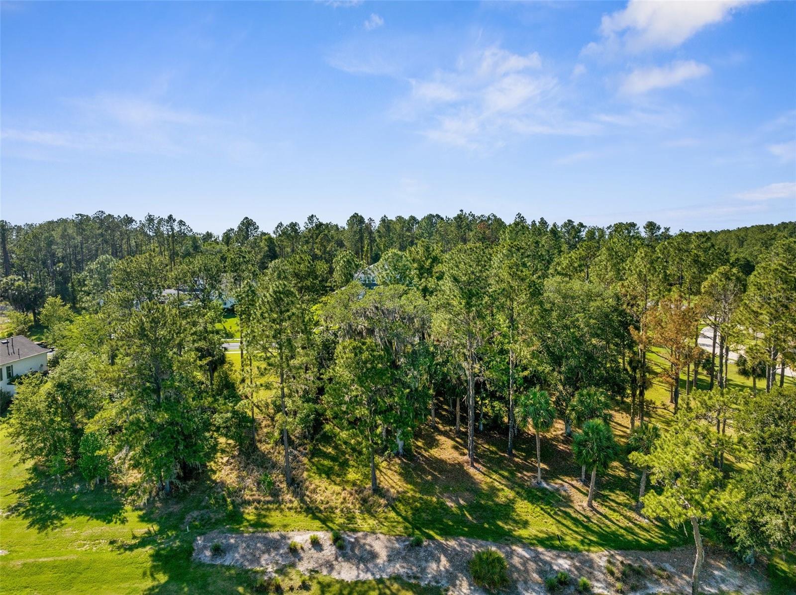 20118 ENGLISH WALNUT PL, BROOKSVILLE, FL, 34601