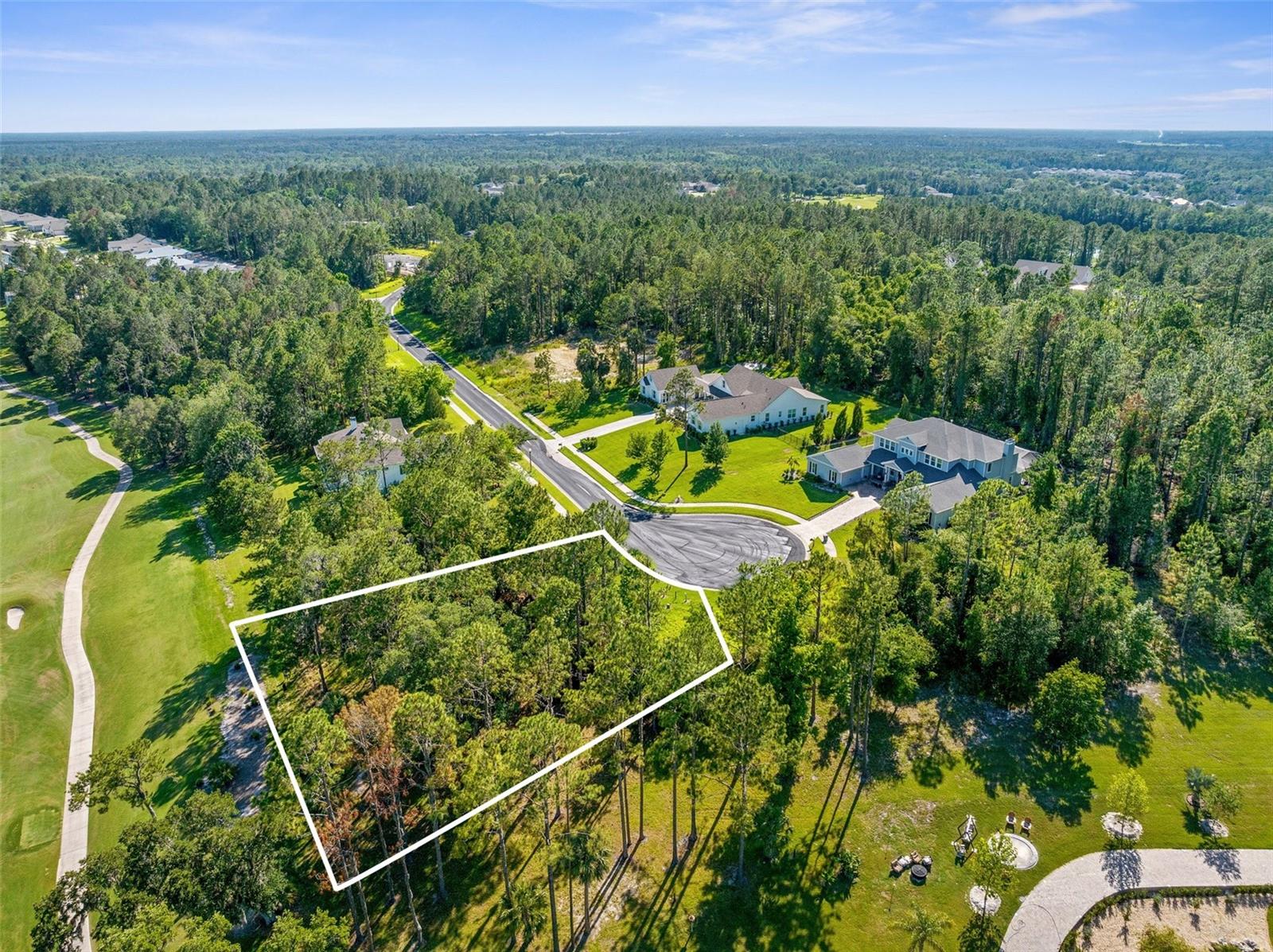 20118 ENGLISH WALNUT PL, BROOKSVILLE, FL, 34601