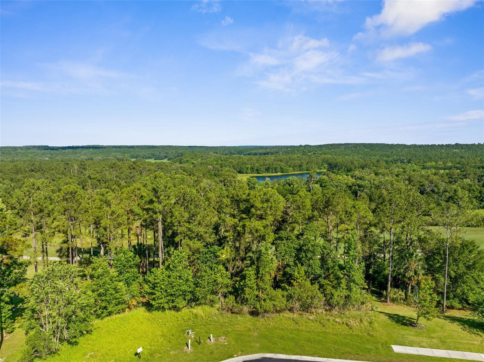 20118 ENGLISH WALNUT PL, BROOKSVILLE, FL, 34601