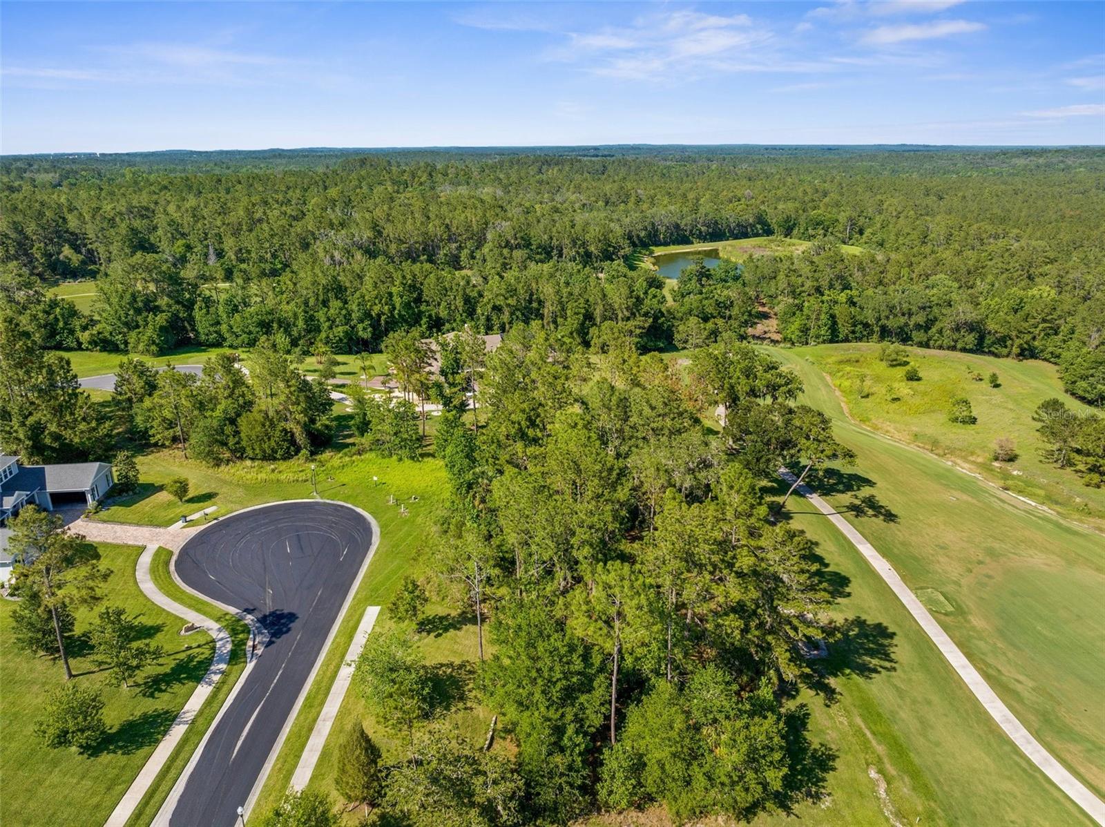 20118 ENGLISH WALNUT PL, BROOKSVILLE, FL, 34601