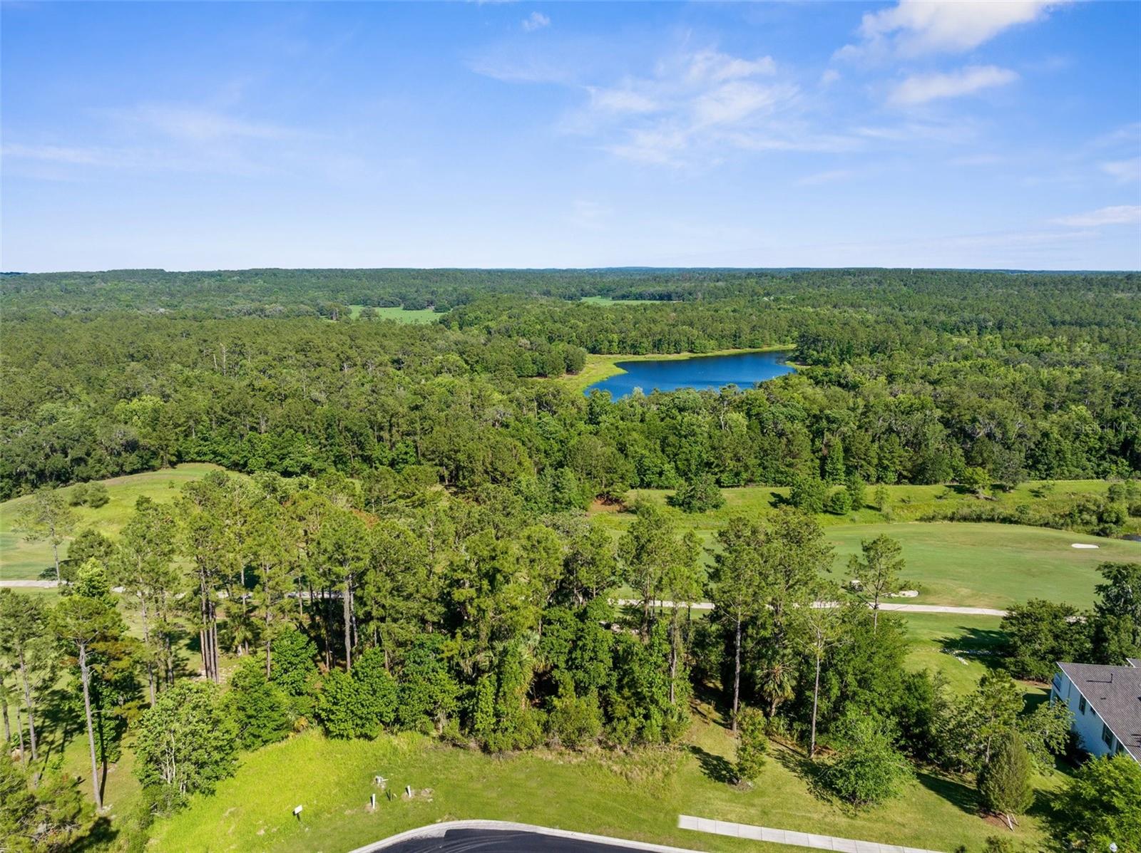 20118 ENGLISH WALNUT PL, BROOKSVILLE, FL, 34601