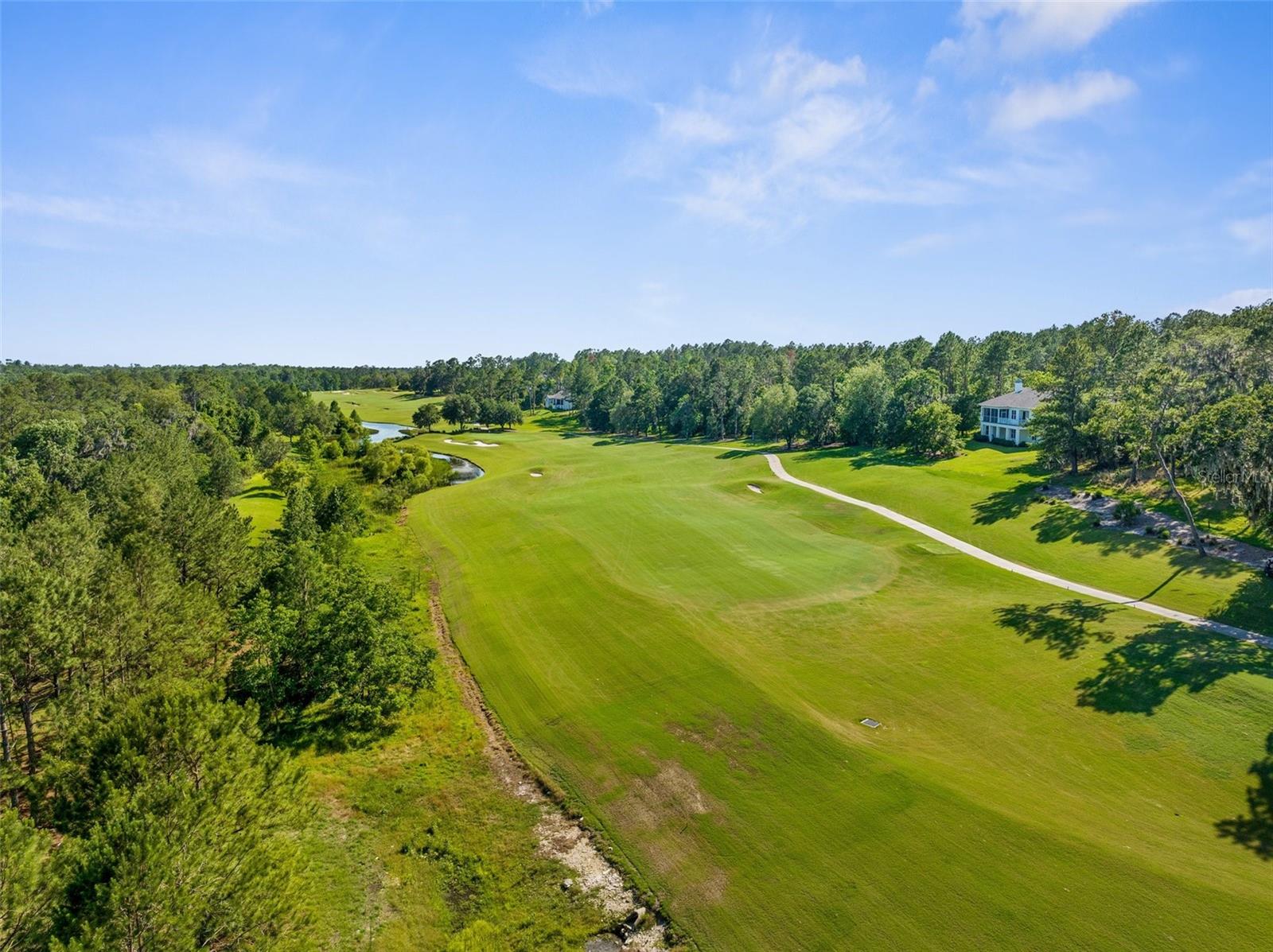 20118 ENGLISH WALNUT PL, BROOKSVILLE, FL, 34601