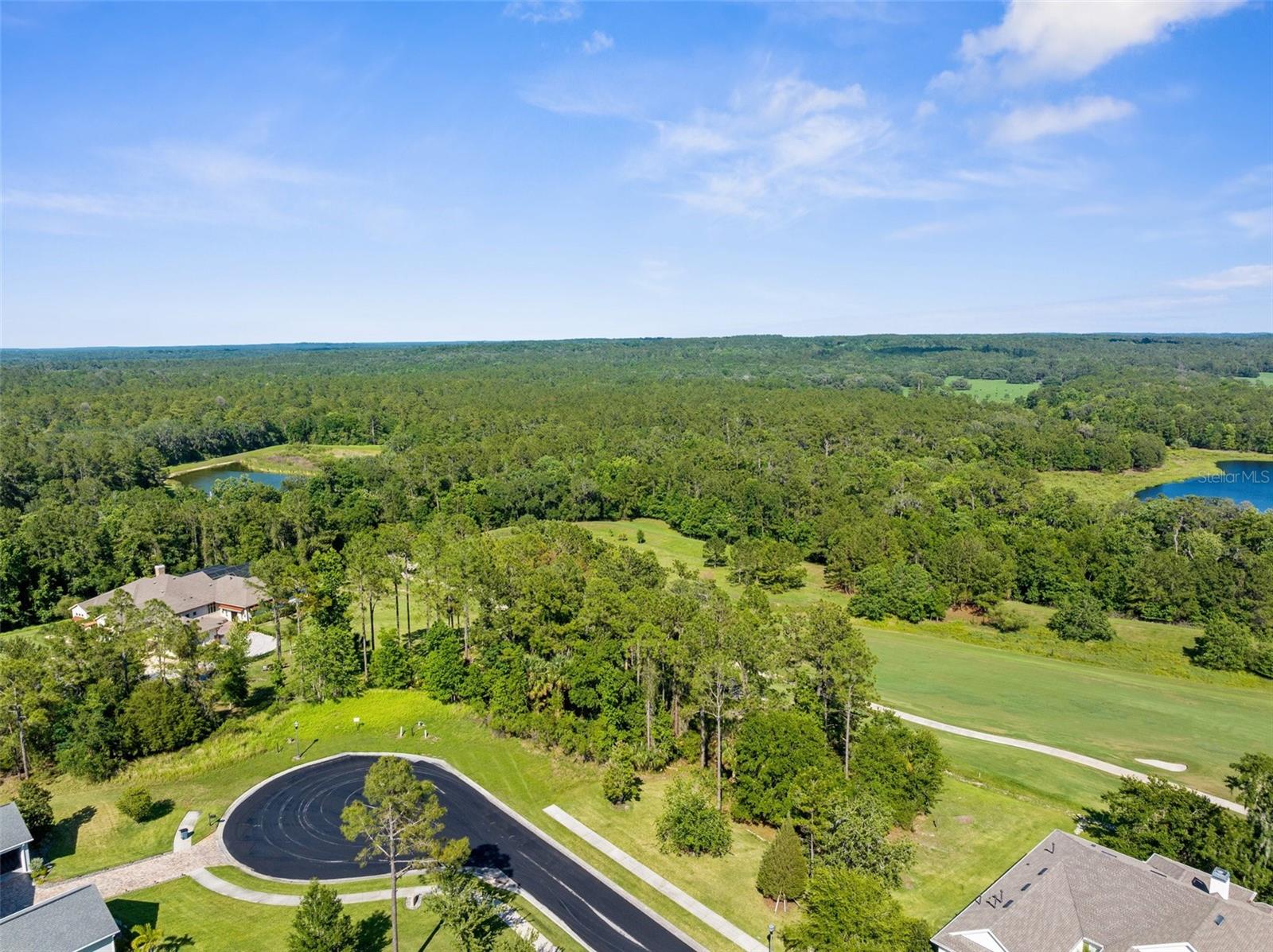 20118 ENGLISH WALNUT PL, BROOKSVILLE, FL, 34601