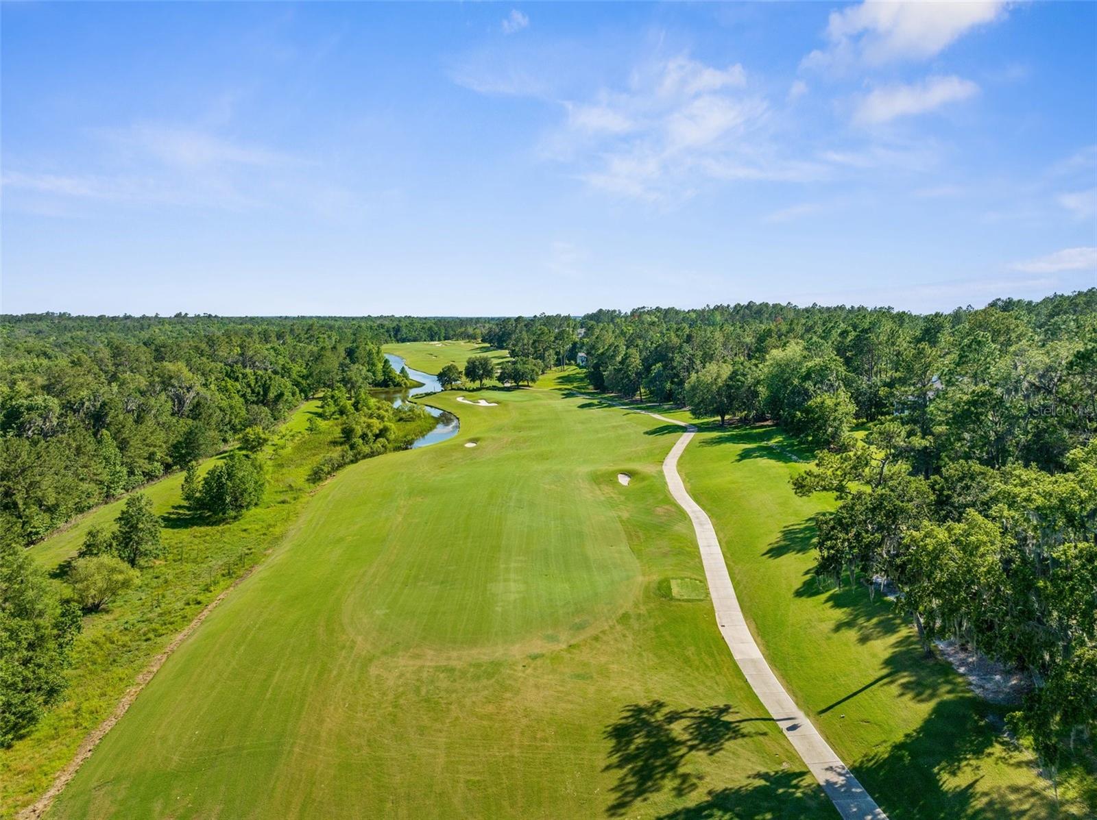 20118 ENGLISH WALNUT PL, BROOKSVILLE, FL, 34601