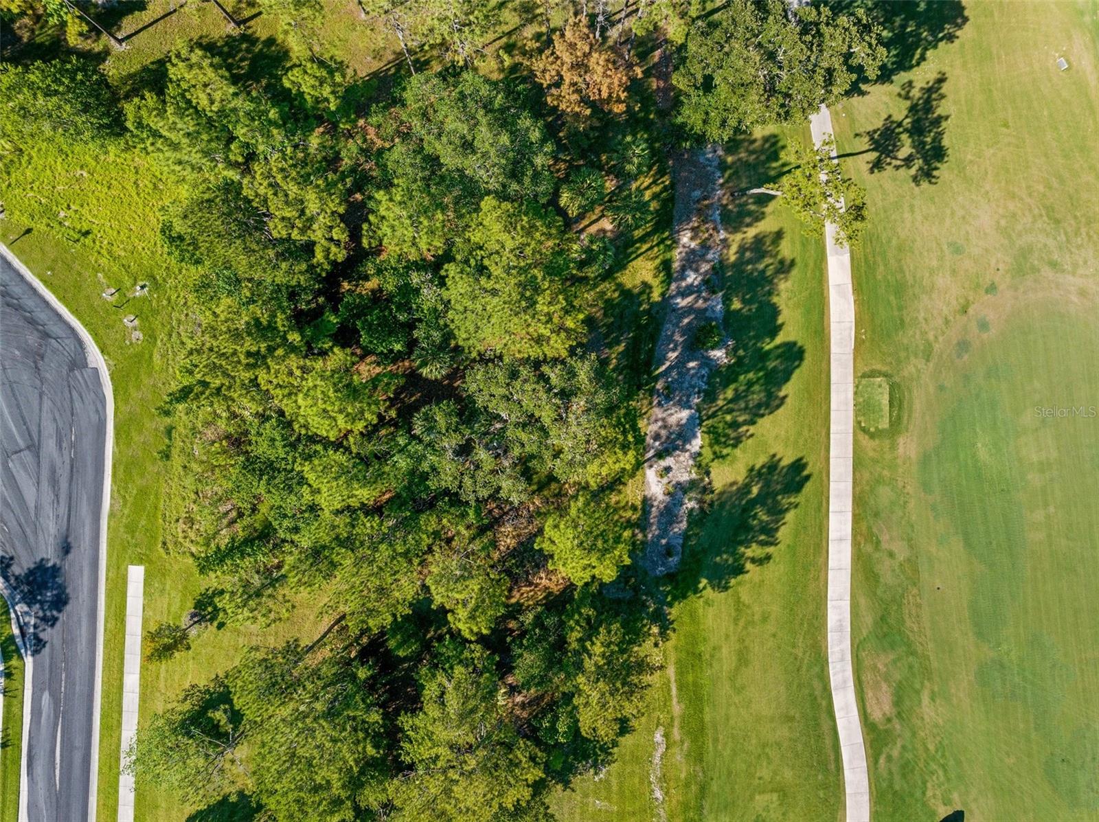 20118 ENGLISH WALNUT PL, BROOKSVILLE, FL, 34601