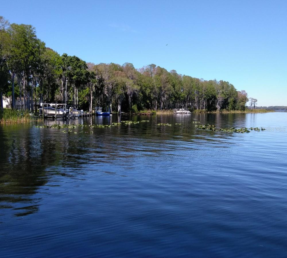 2380 SHELLY DR #B, PALM HARBOR, FL, 34684