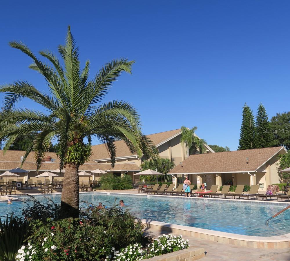 2380 SHELLY DR #B, PALM HARBOR, FL, 34684