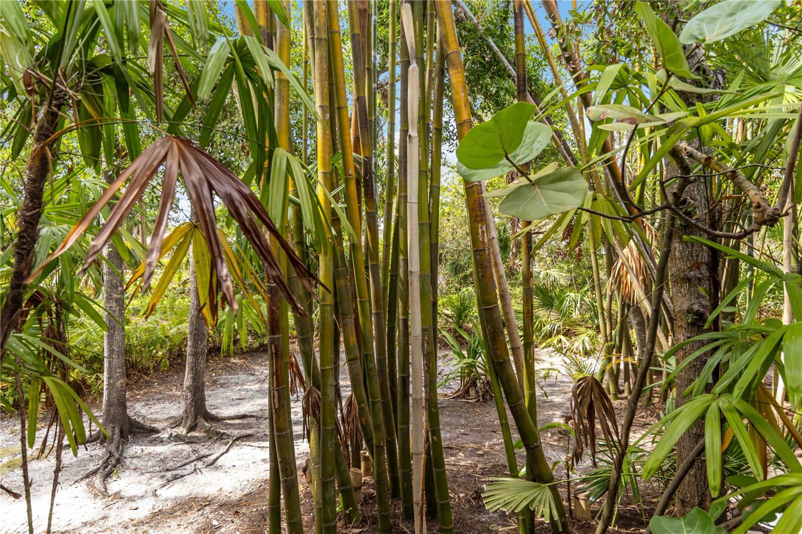 642 N JEFFERSON AVE #13, SARASOTA, FL, 34237