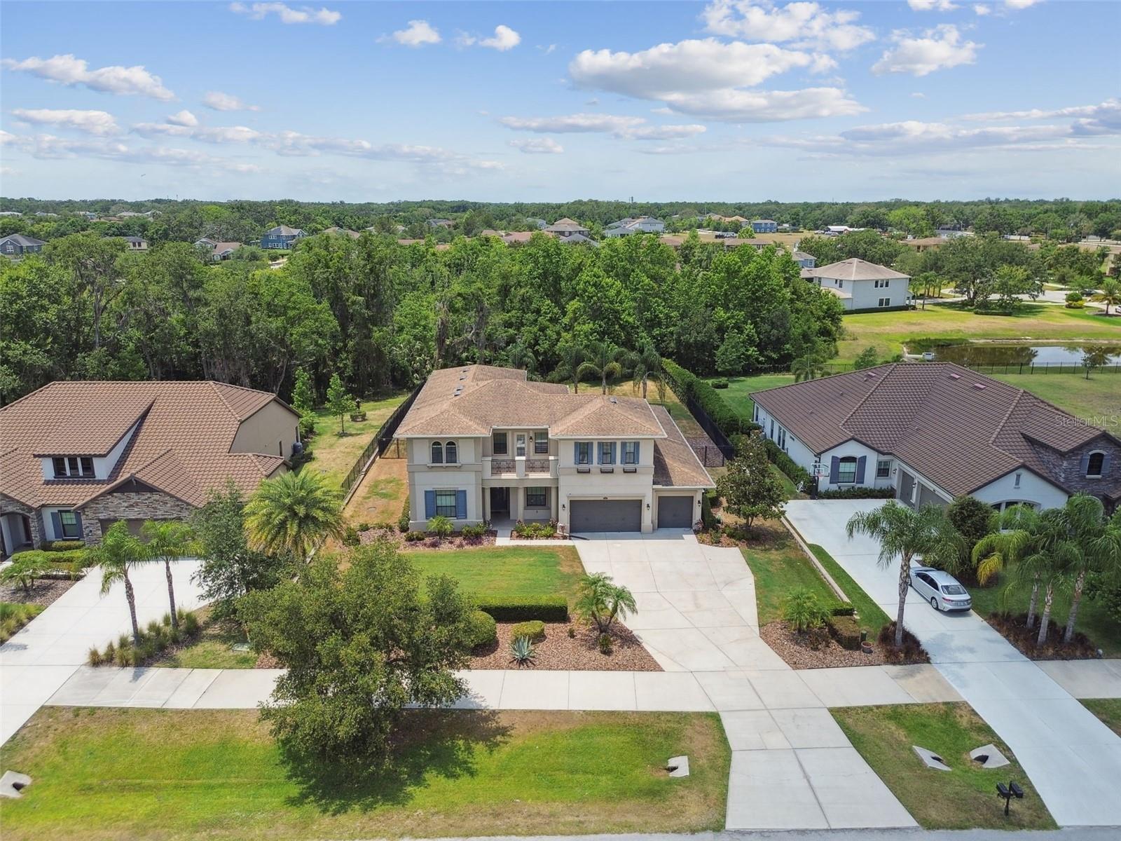 17914 BRAMSHOT PL, LUTZ, FL, 33559