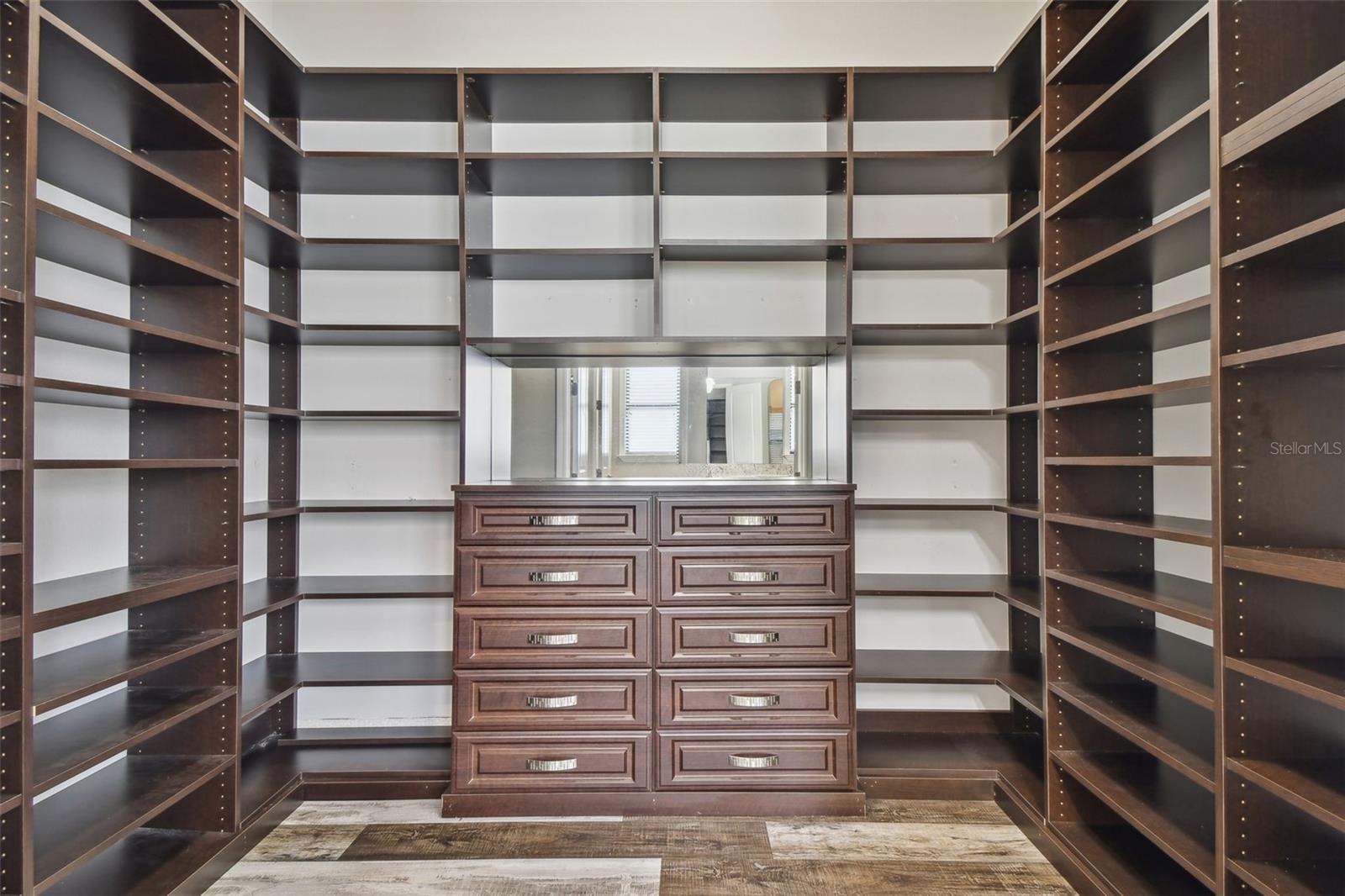 17914 BRAMSHOT PL, LUTZ, FL, 33559