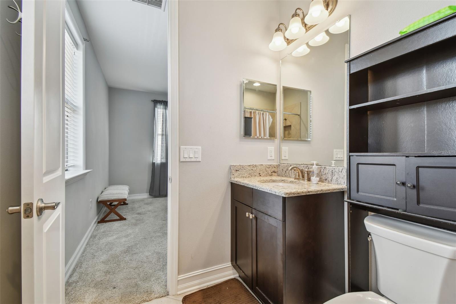 17914 BRAMSHOT PL, LUTZ, FL, 33559