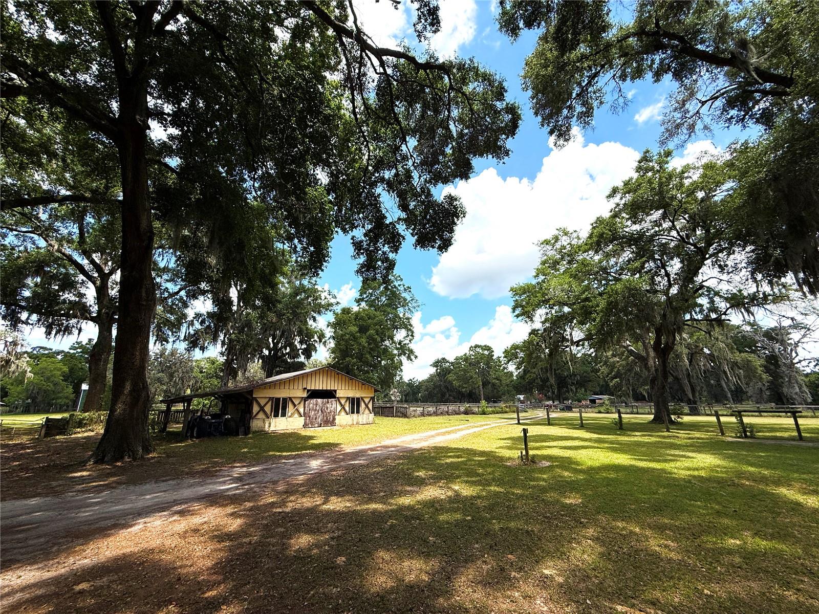 7119 SW 80TH AVE, OCALA, FL, 34481