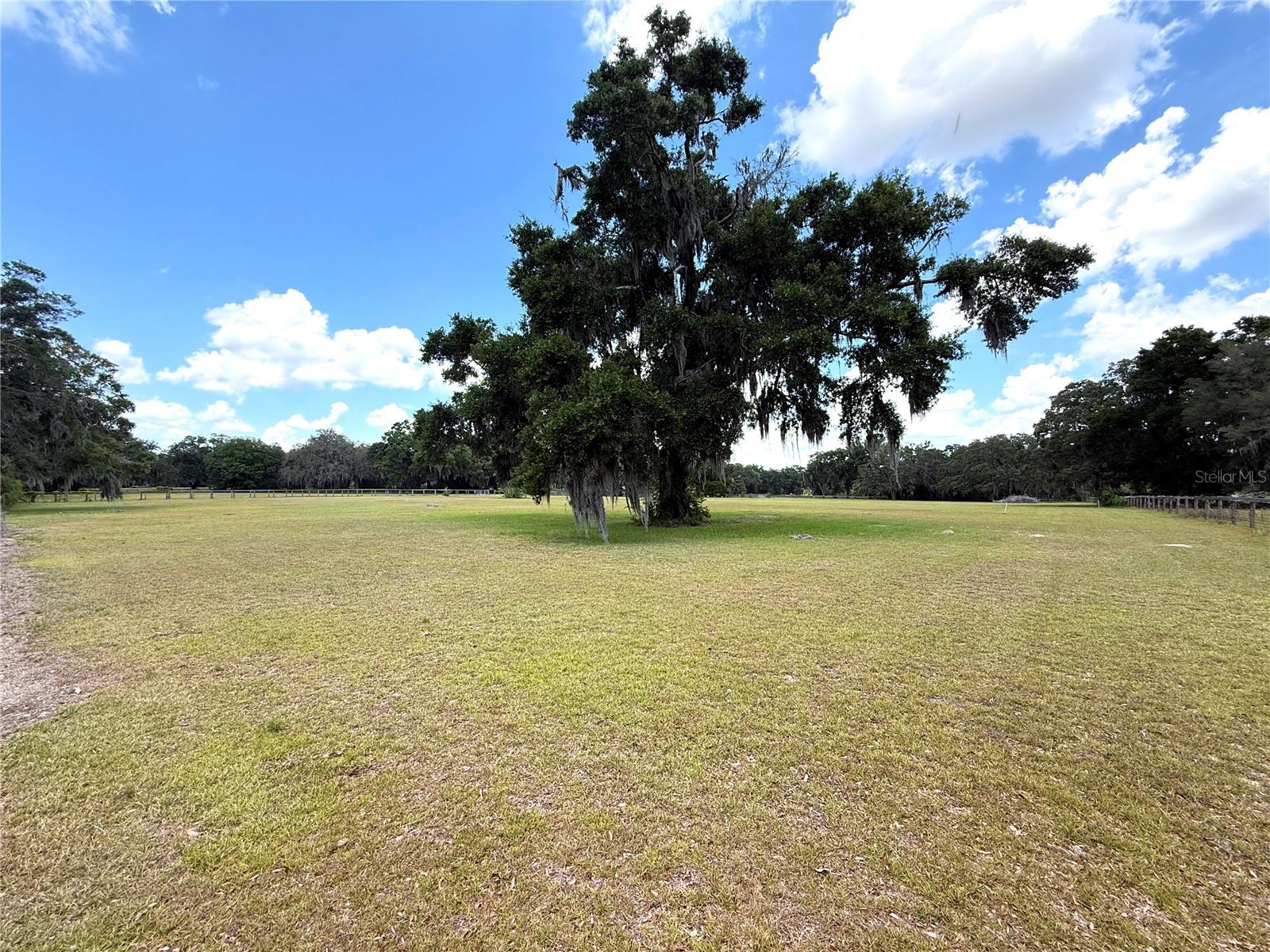 7119 SW 80TH AVE, OCALA, FL, 34481