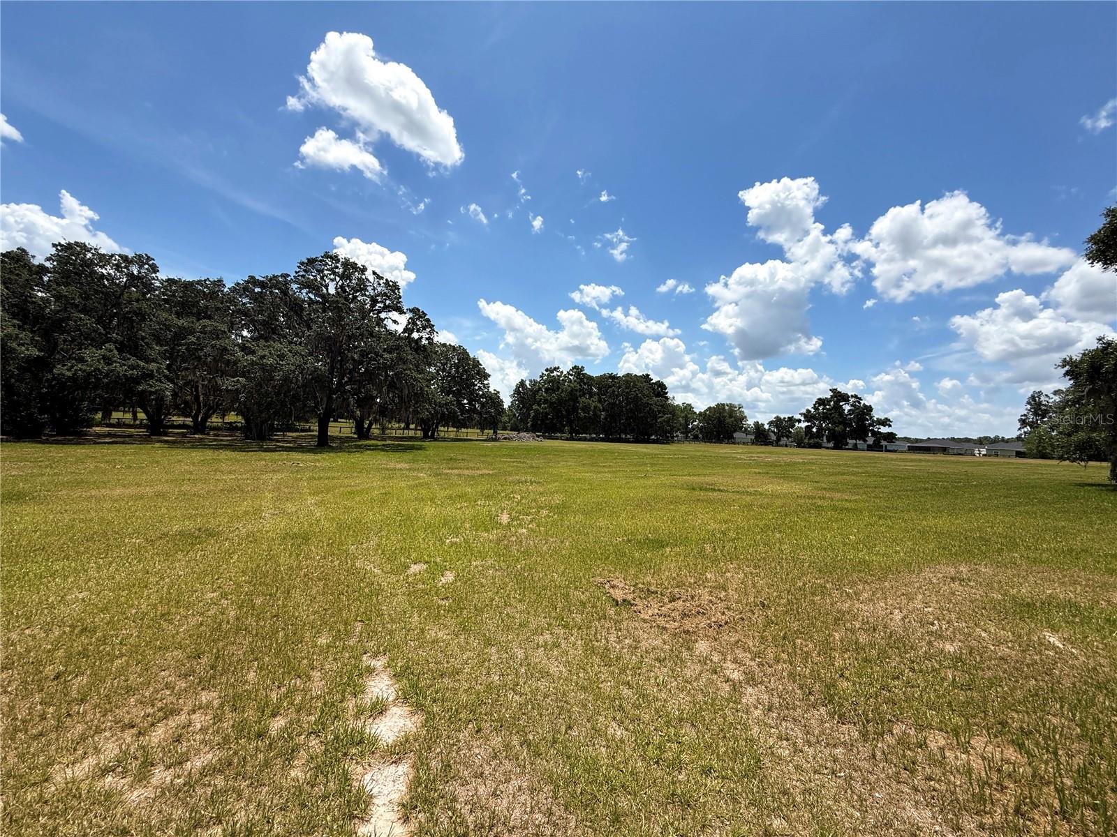 7119 SW 80TH AVE, OCALA, FL, 34481