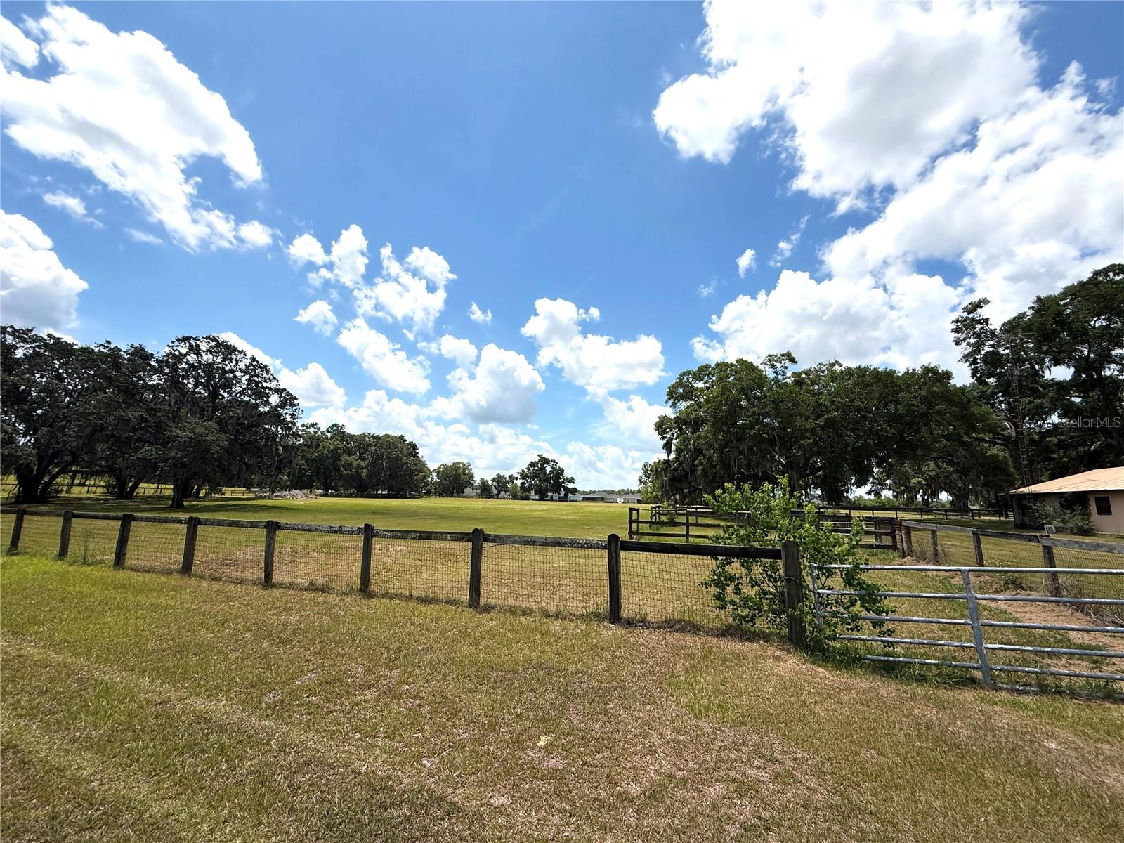 7119 SW 80TH AVE, OCALA, FL, 34481