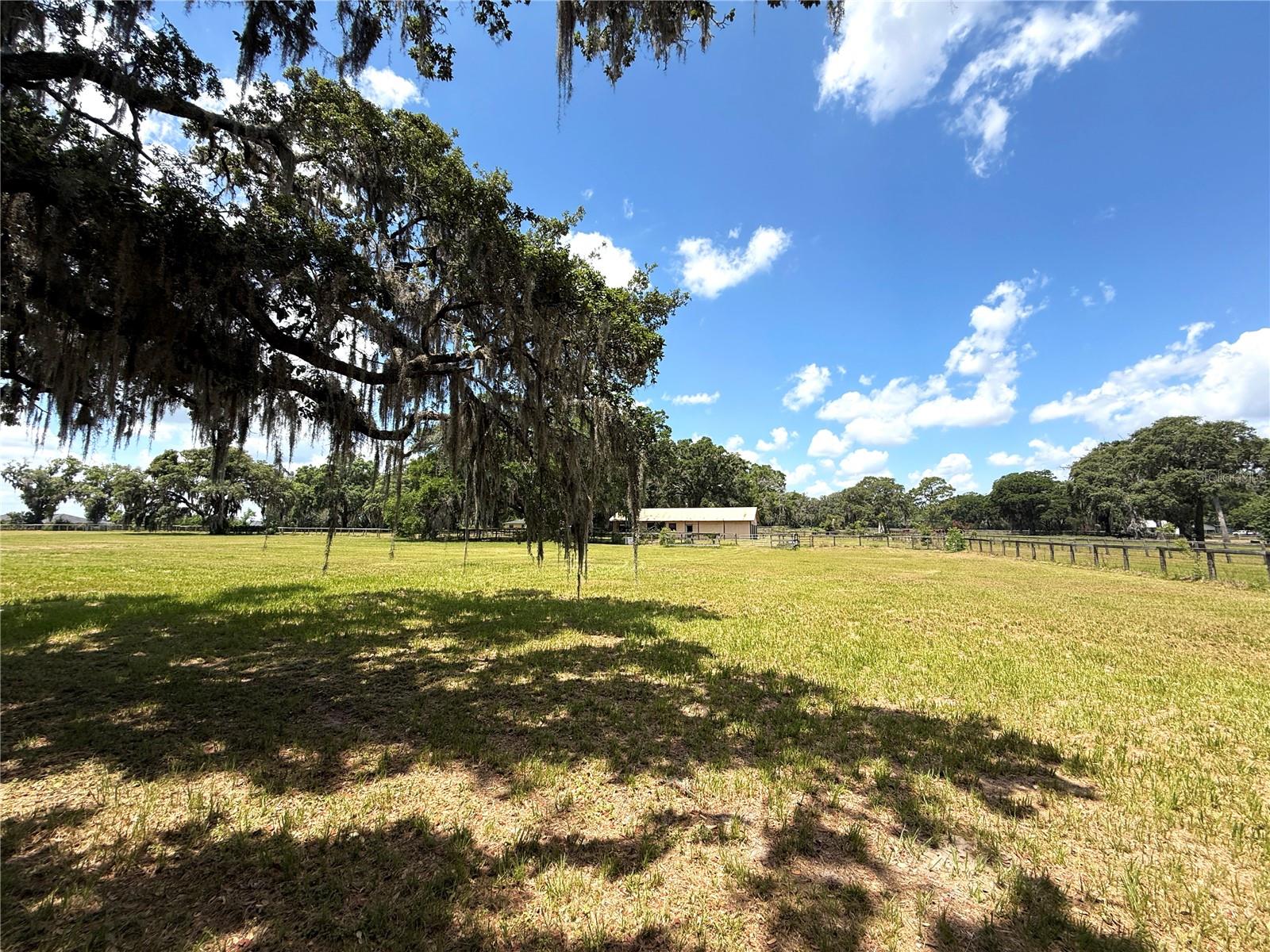 7119 SW 80TH AVE, OCALA, FL, 34481