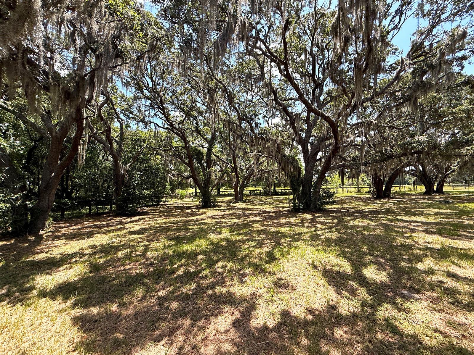 7119 SW 80TH AVE, OCALA, FL, 34481