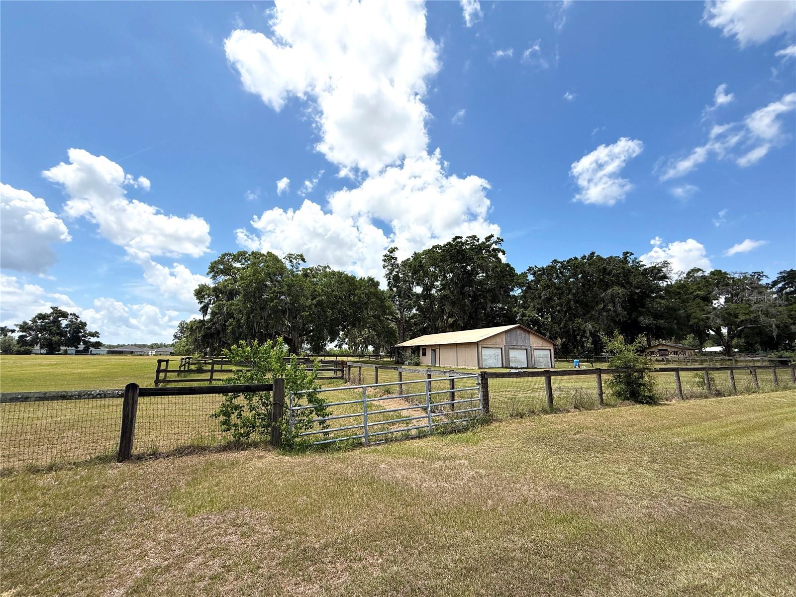 7119 SW 80TH AVE, OCALA, FL, 34481