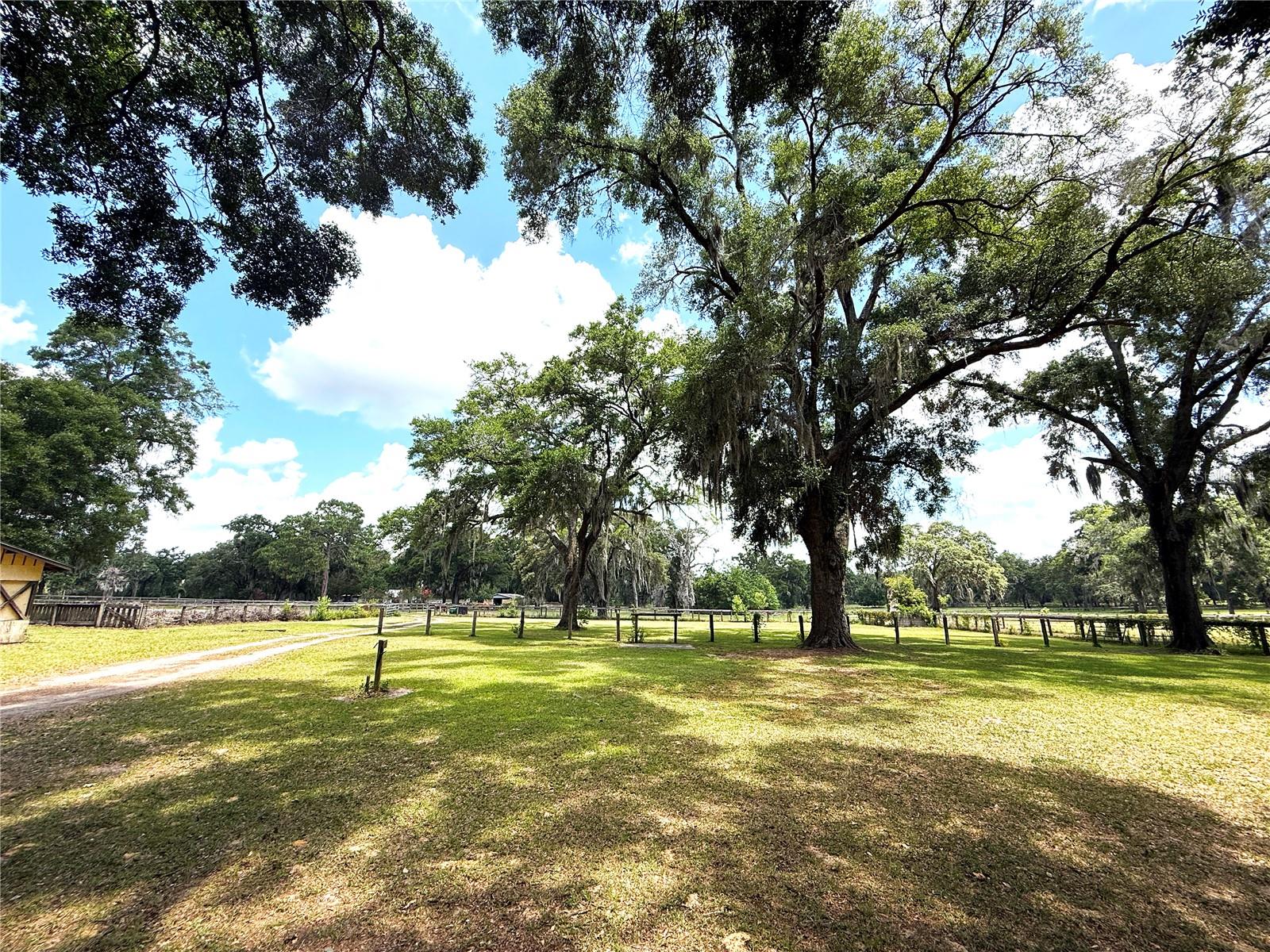 7119 SW 80TH AVE, OCALA, FL, 34481