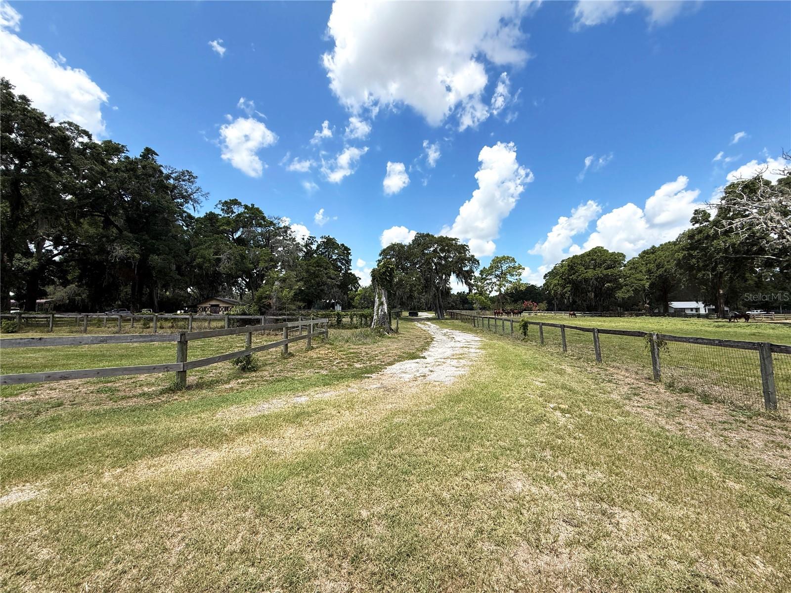 7119 SW 80TH AVE, OCALA, FL, 34481