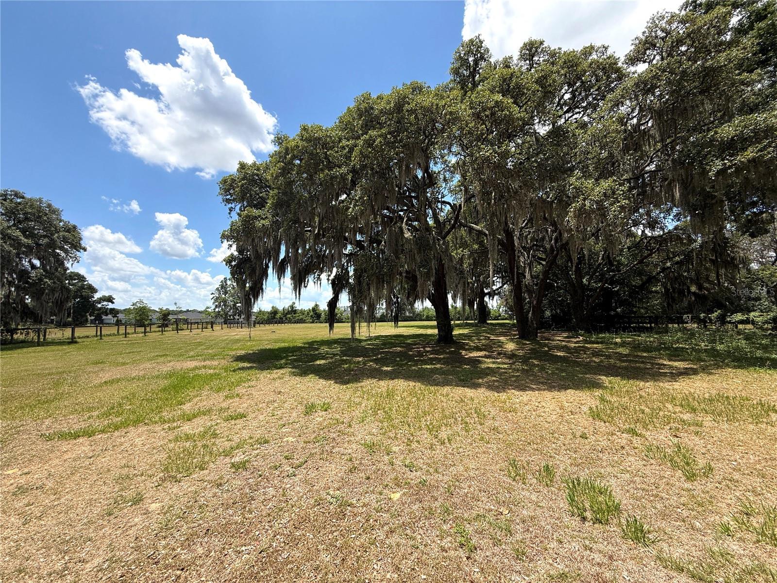 7119 SW 80TH AVE, OCALA, FL, 34481