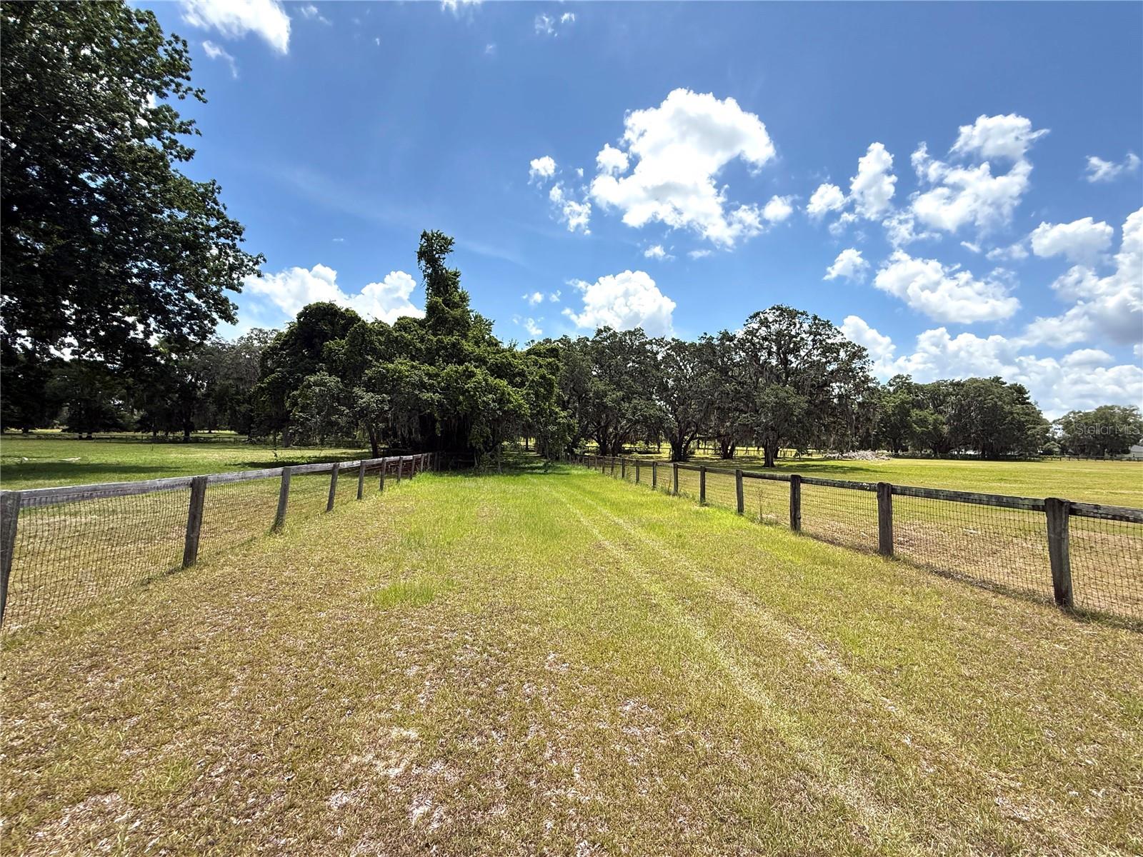 7119 SW 80TH AVE, OCALA, FL, 34481