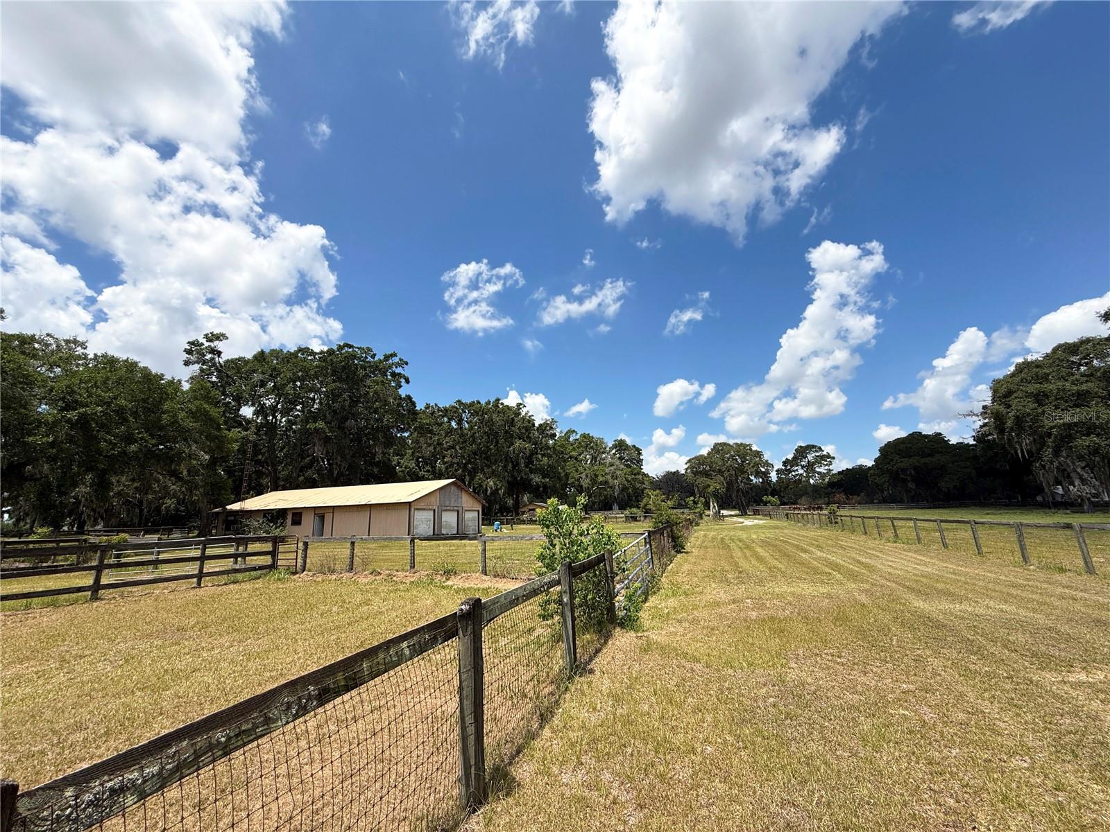 7119 SW 80TH AVE, OCALA, FL, 34481