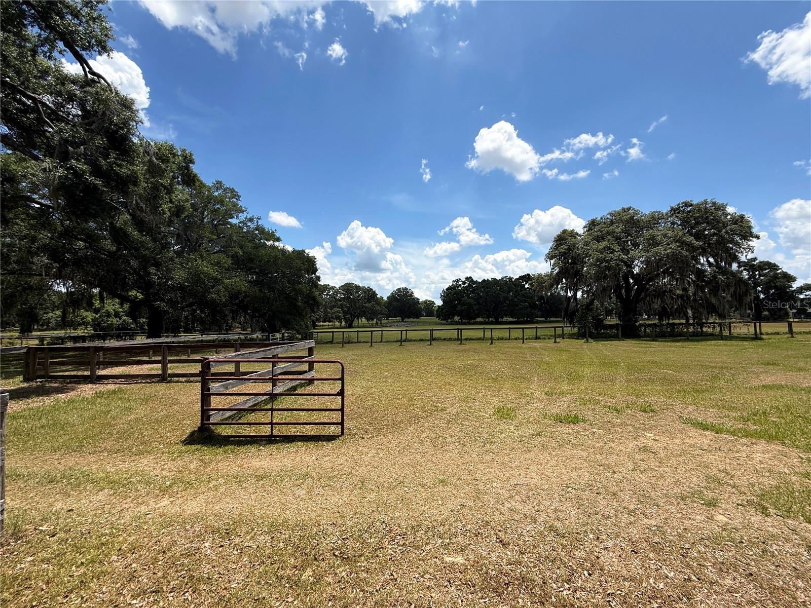 7119 SW 80TH AVE, OCALA, FL, 34481