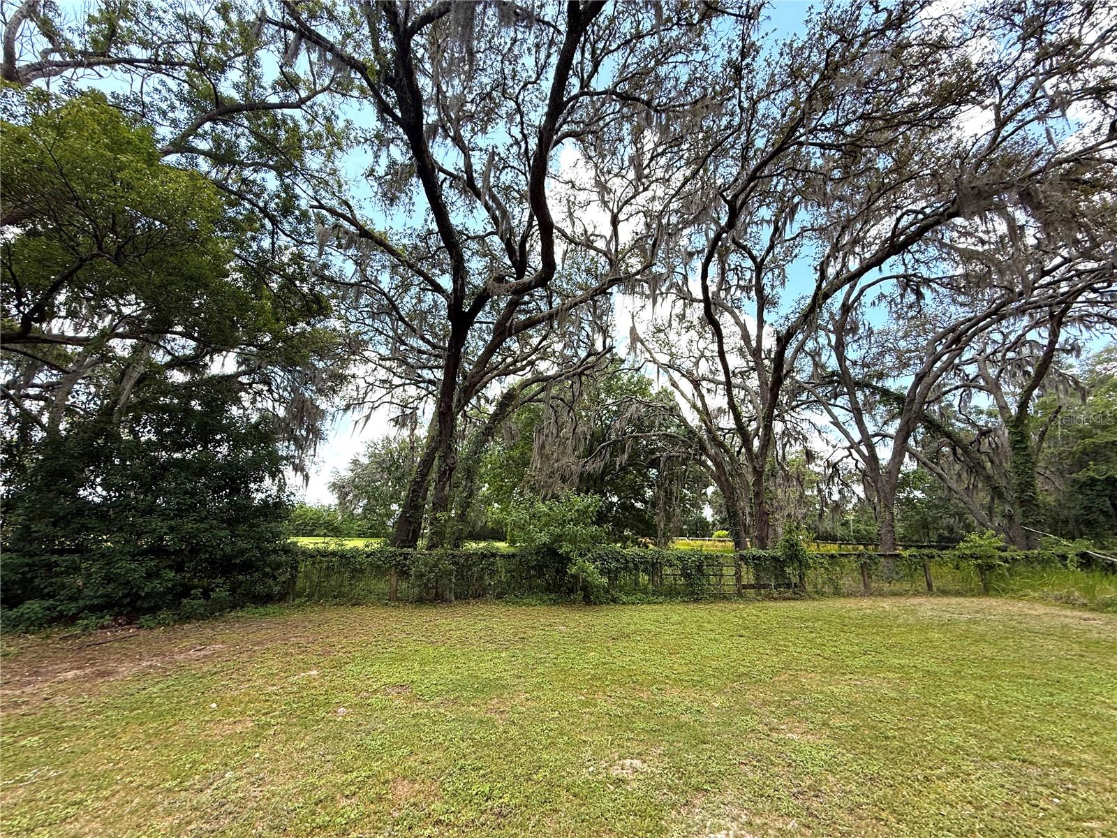 7119 SW 80TH AVE, OCALA, FL, 34481