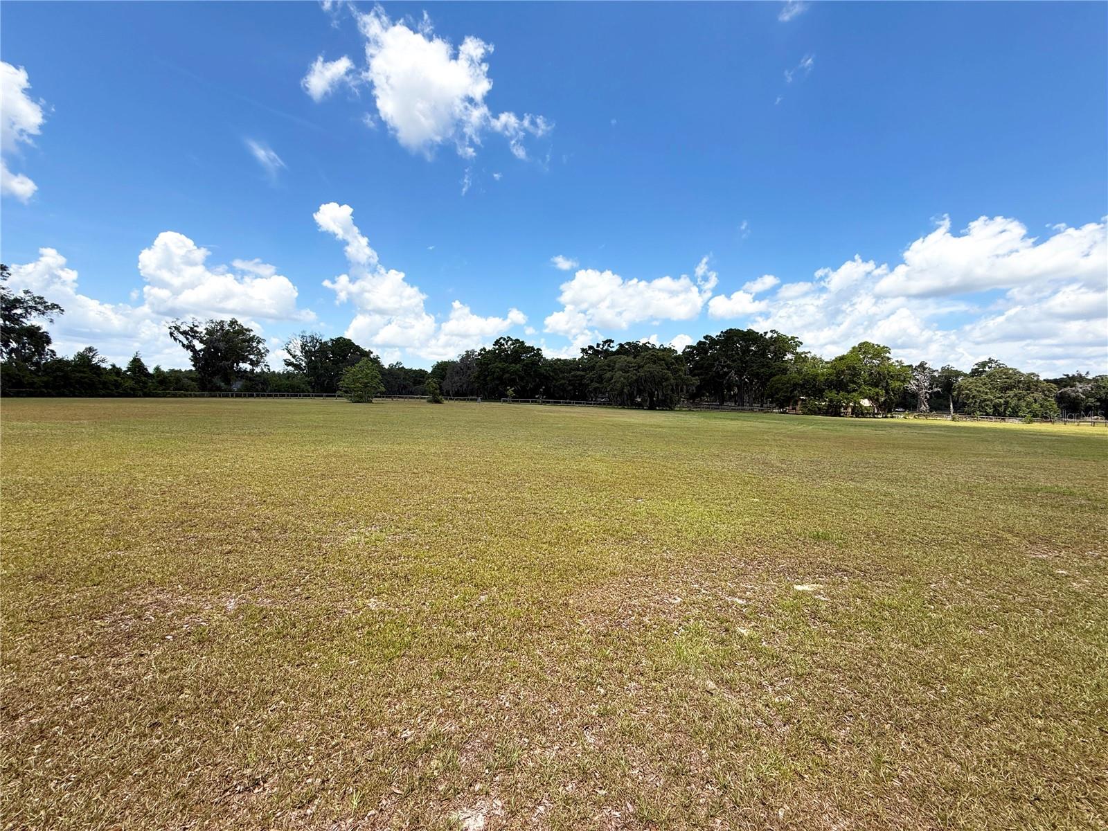 7119 SW 80TH AVE, OCALA, FL, 34481