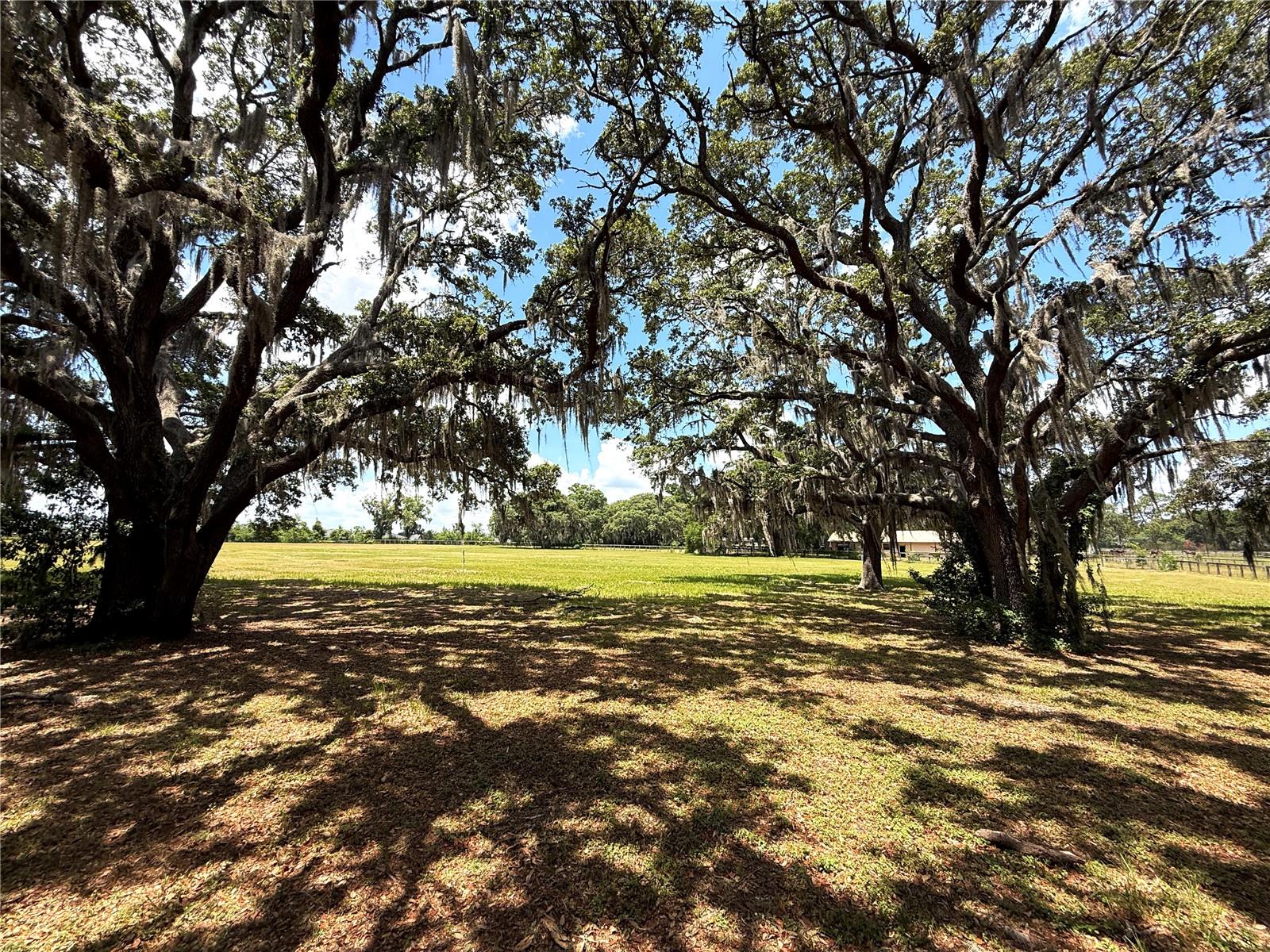 7119 SW 80TH AVE, OCALA, FL, 34481