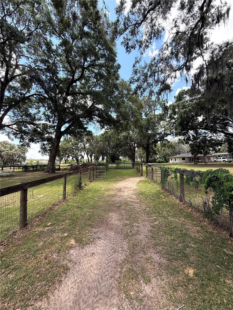 7119 SW 80TH AVE, OCALA, FL, 34481