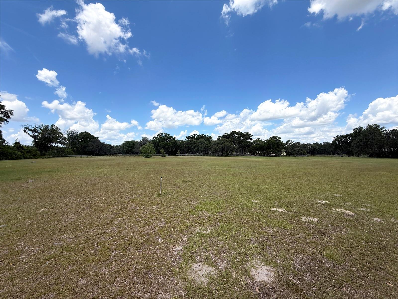 7119 SW 80TH AVE, OCALA, FL, 34481