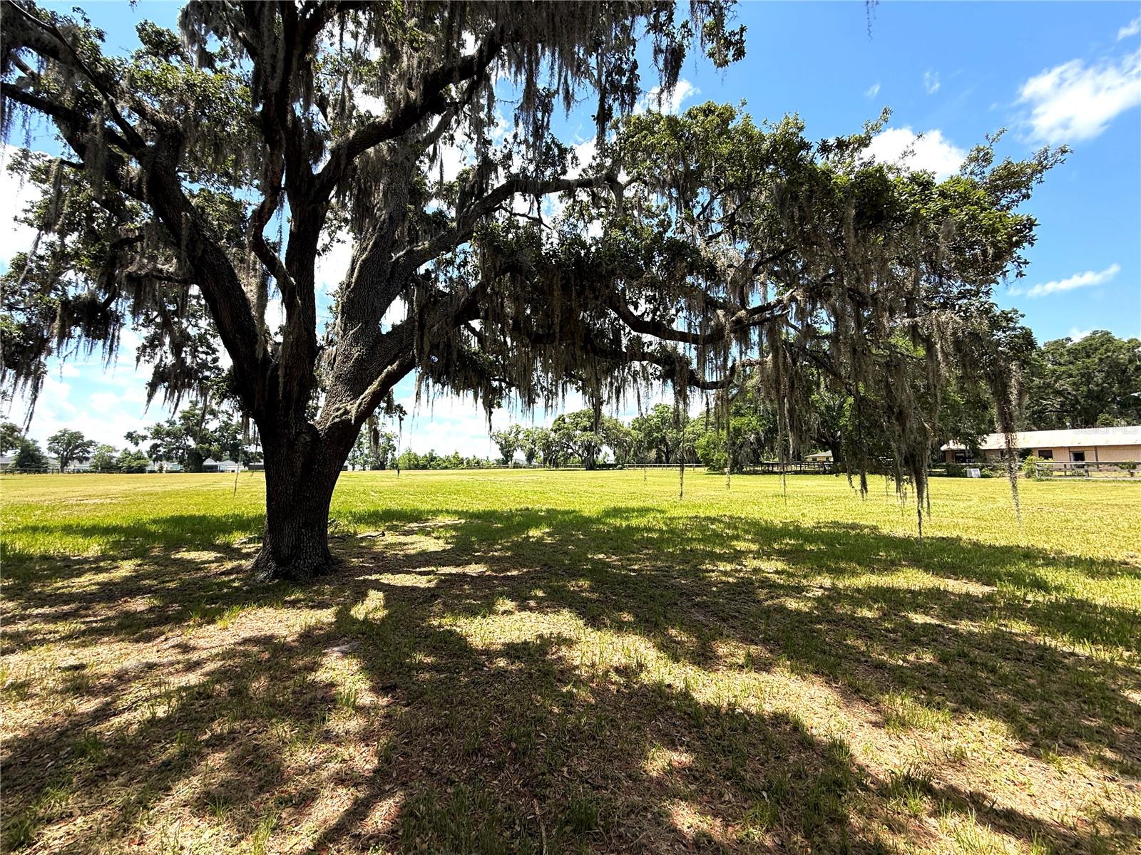 7119 SW 80TH AVE, OCALA, FL, 34481