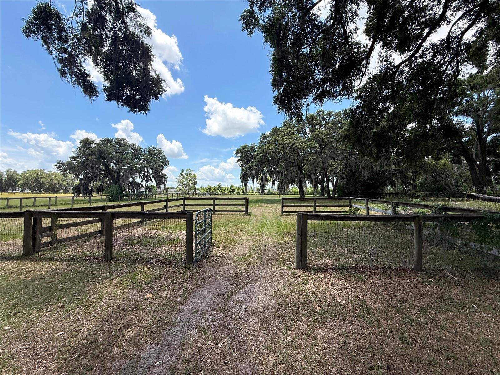 7119 SW 80TH AVE, OCALA, FL, 34481